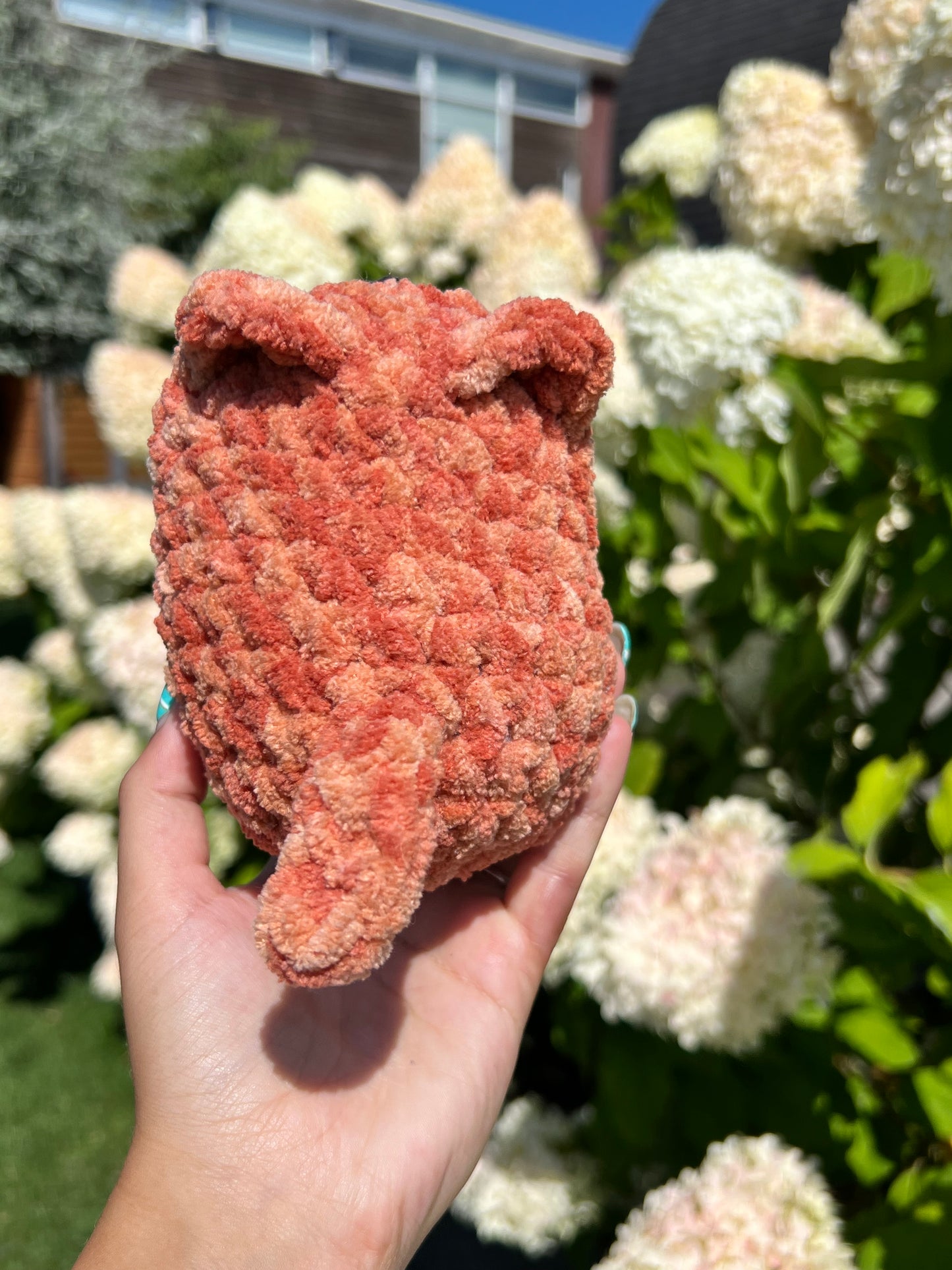 oranje kat