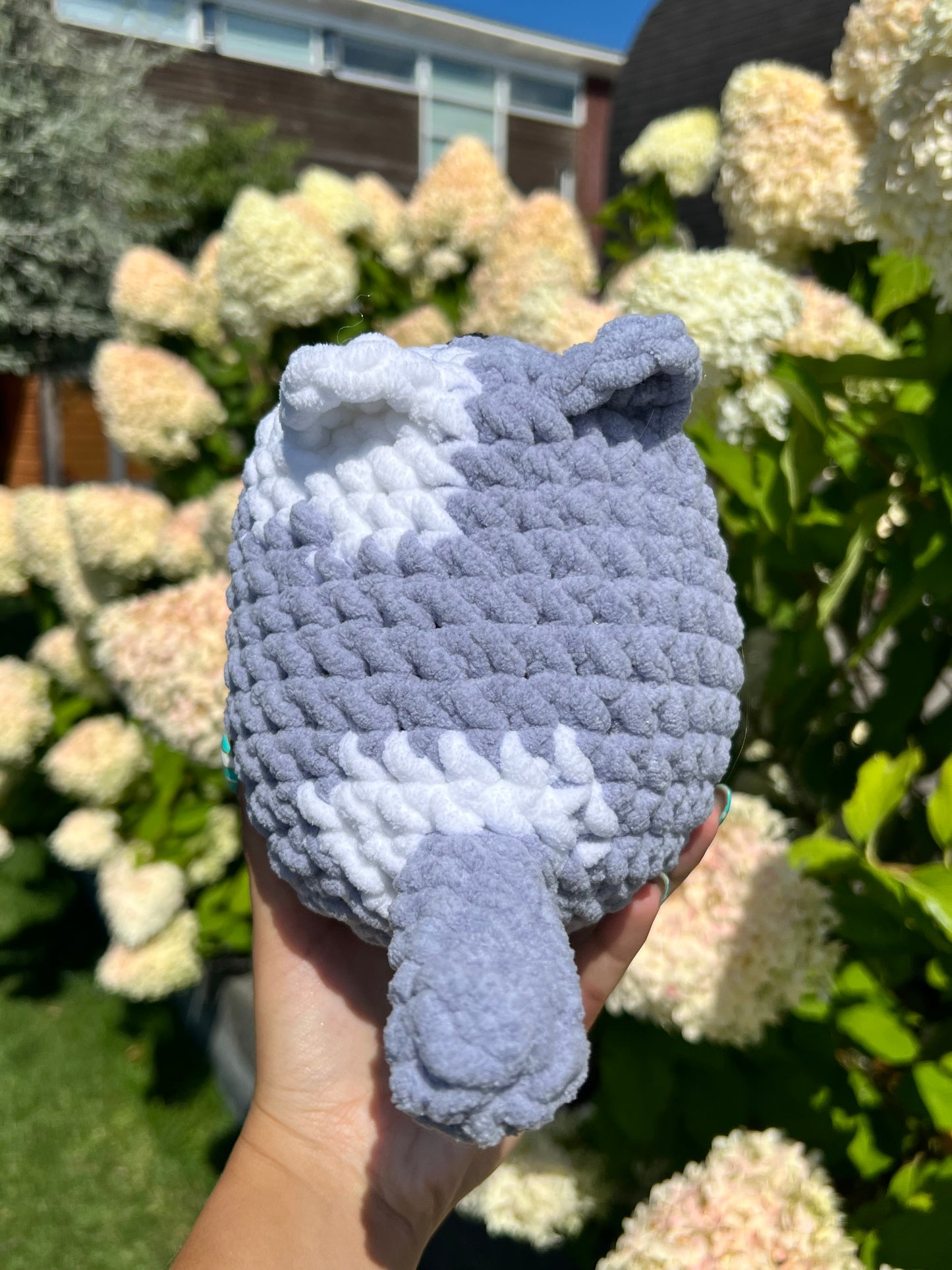 grijs witte XL kat