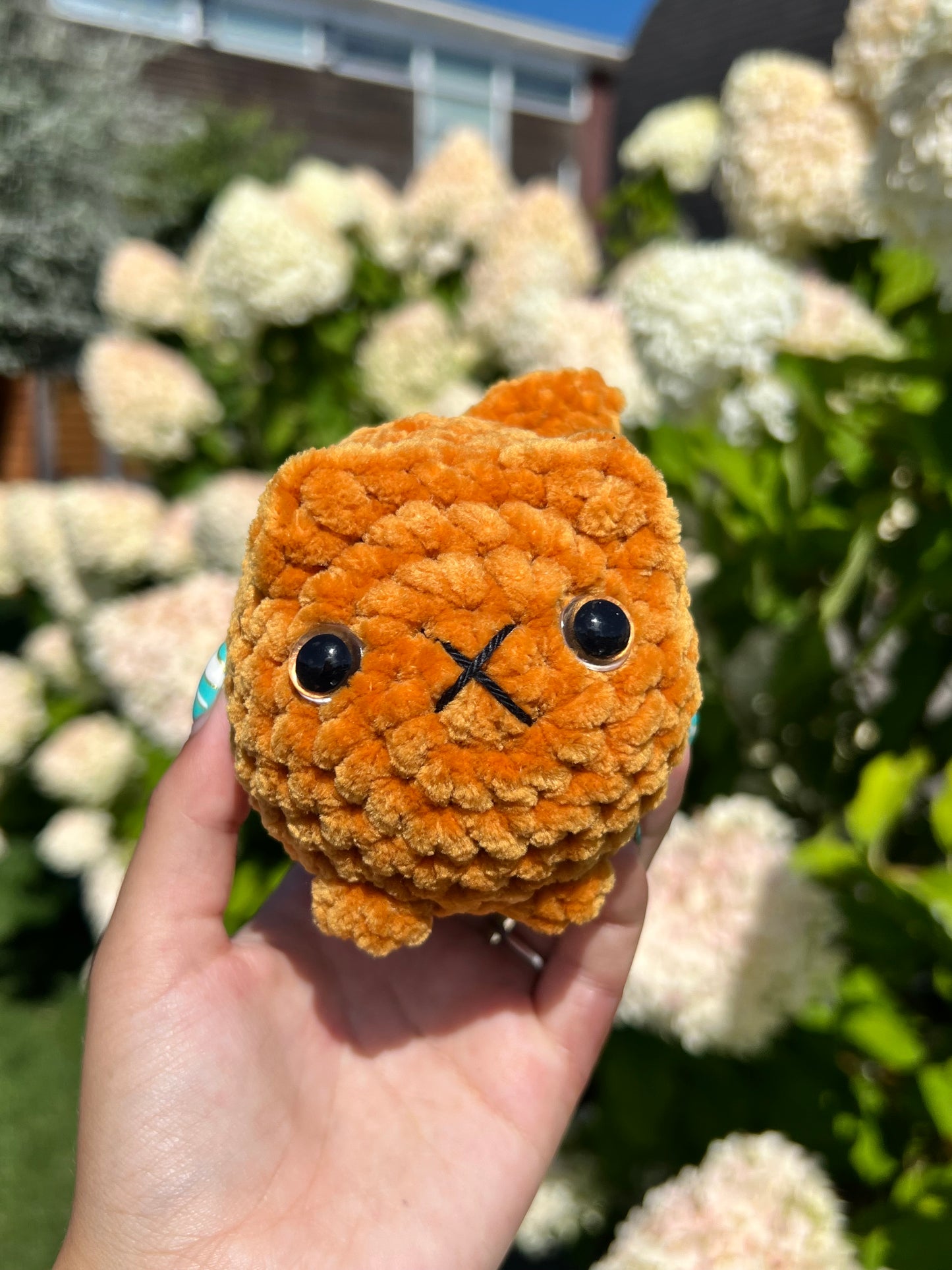 oranje kat
