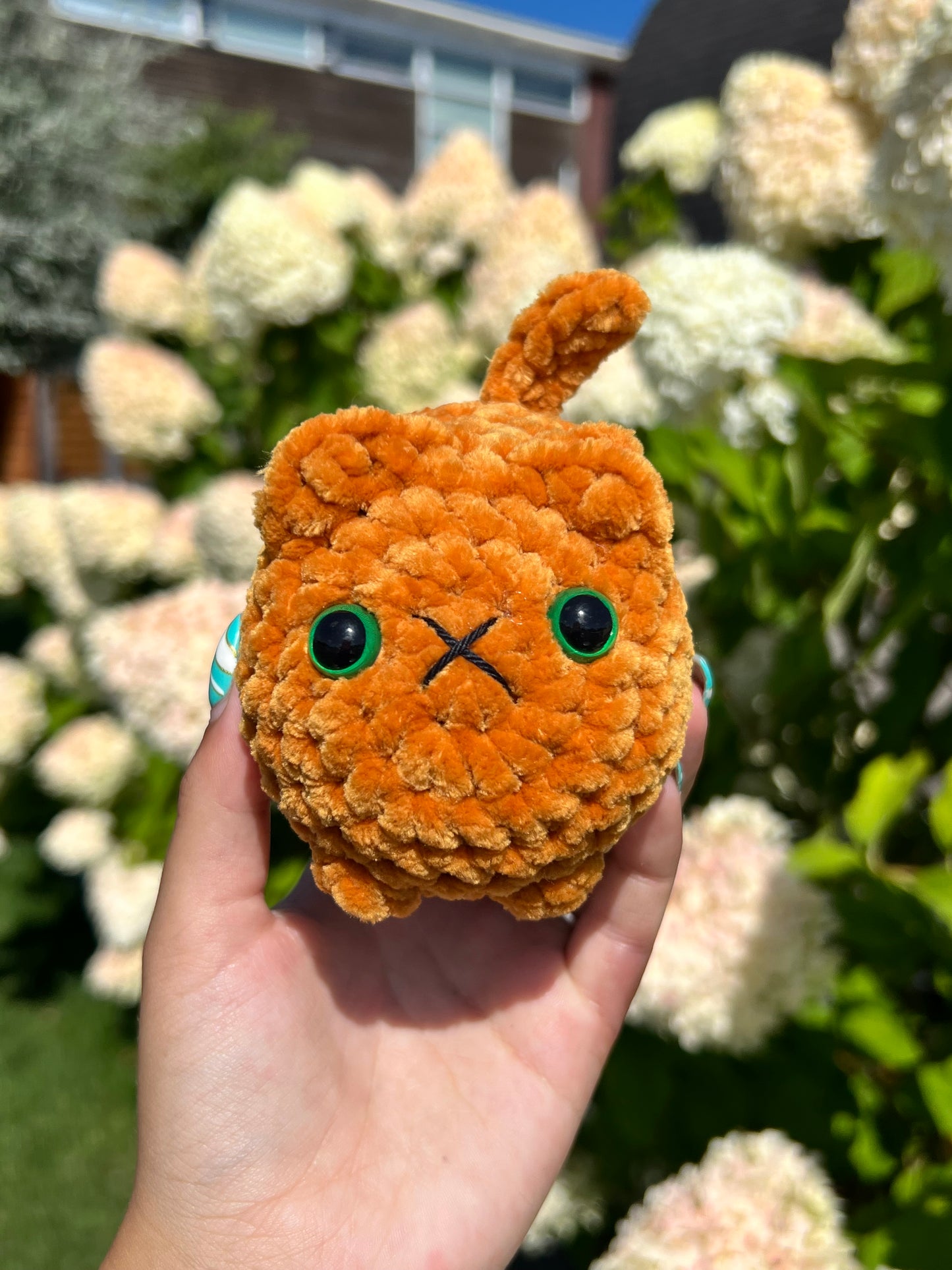 oranje kat