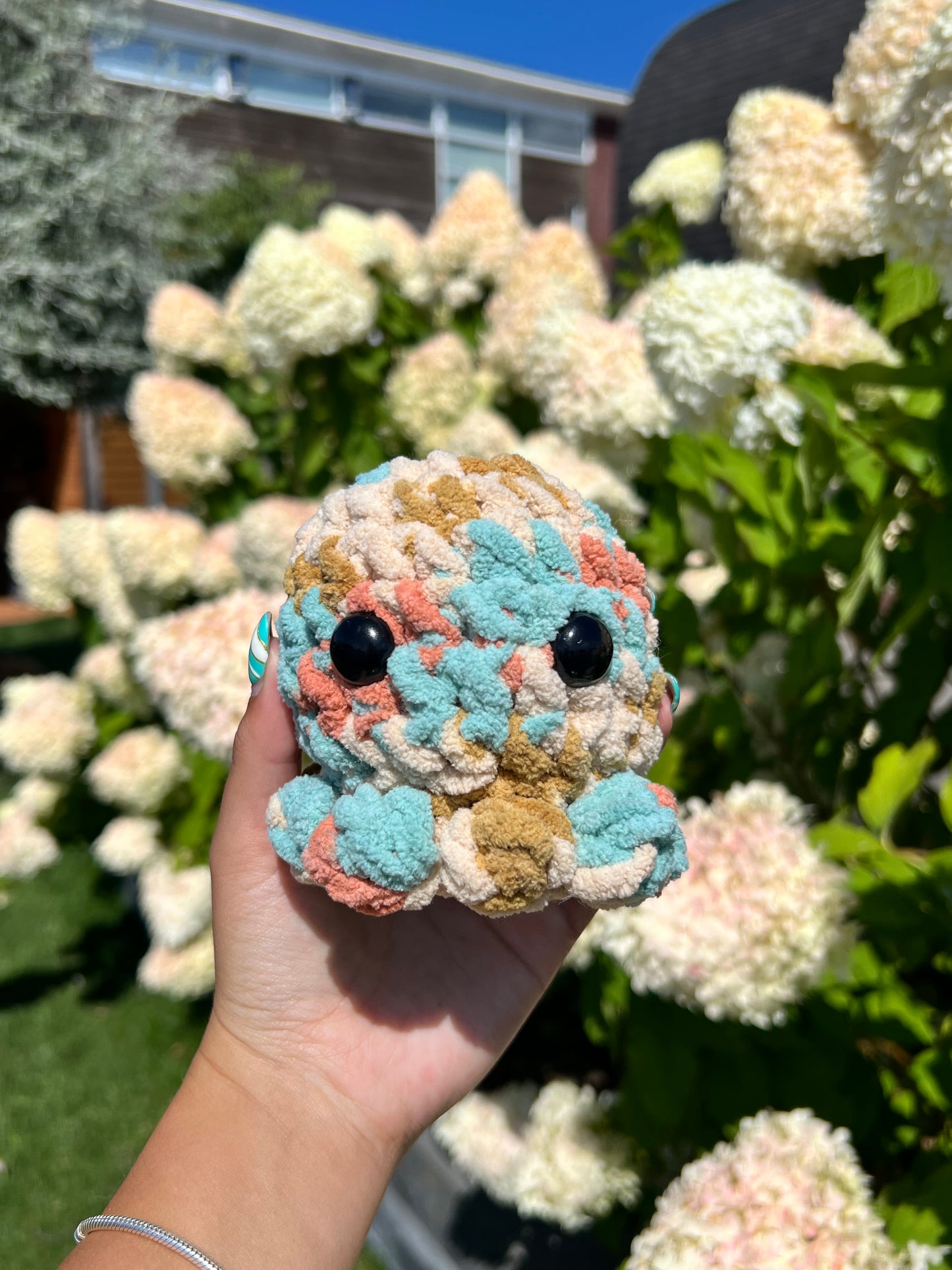 ocean octo