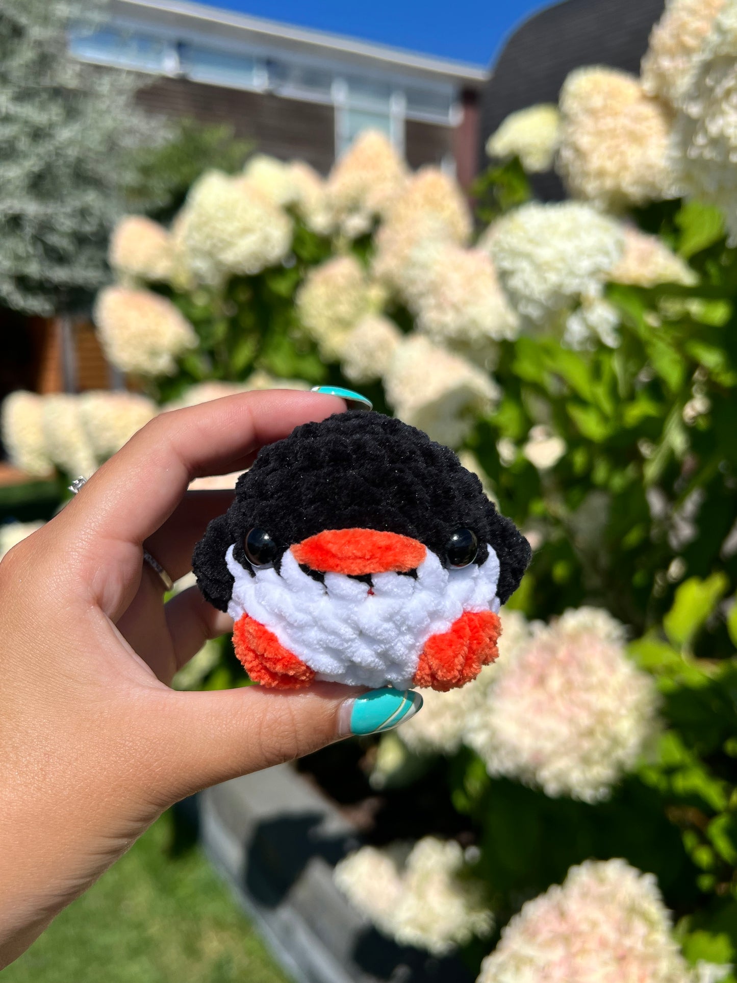pinguïn