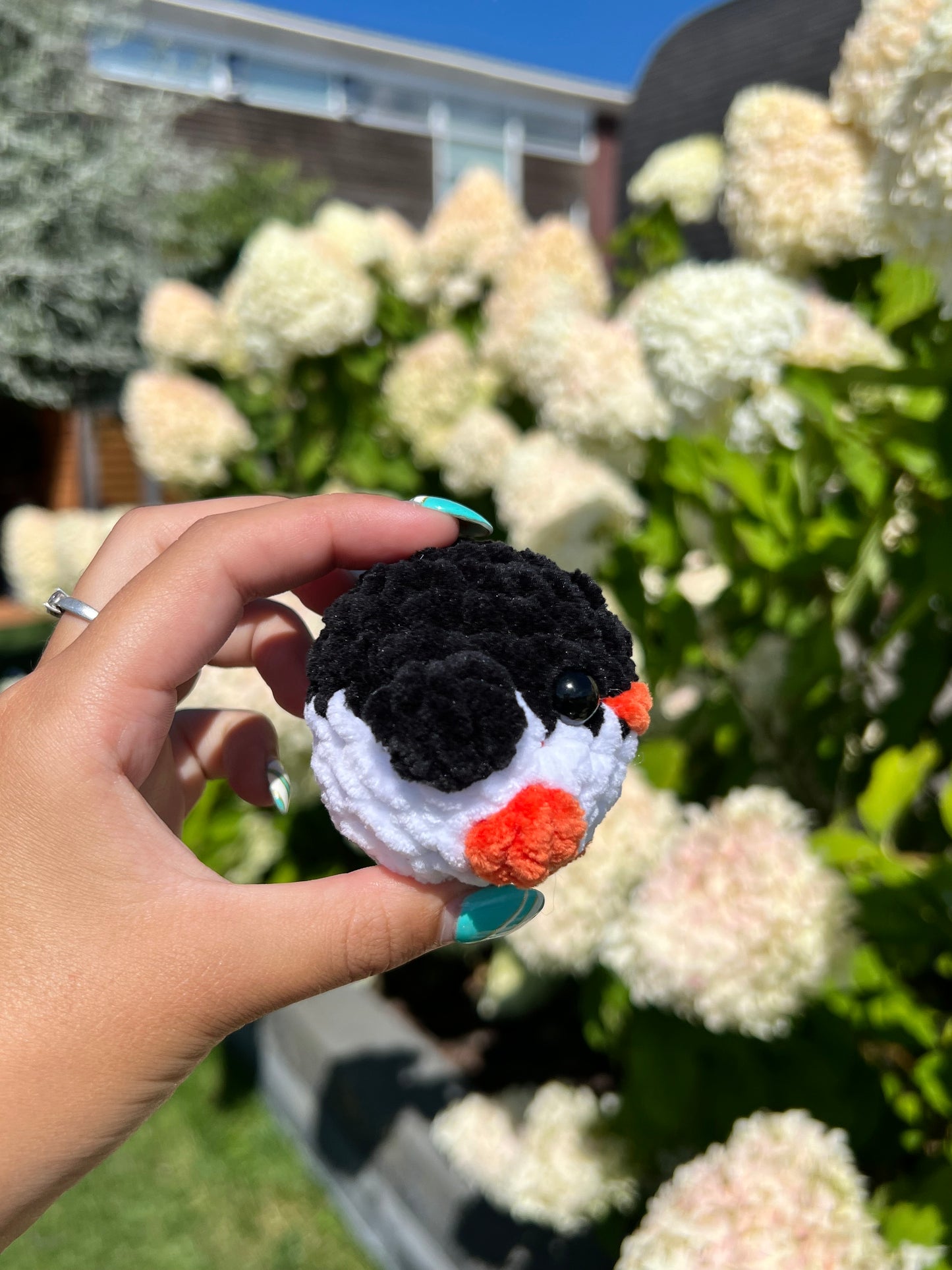 pinguïn