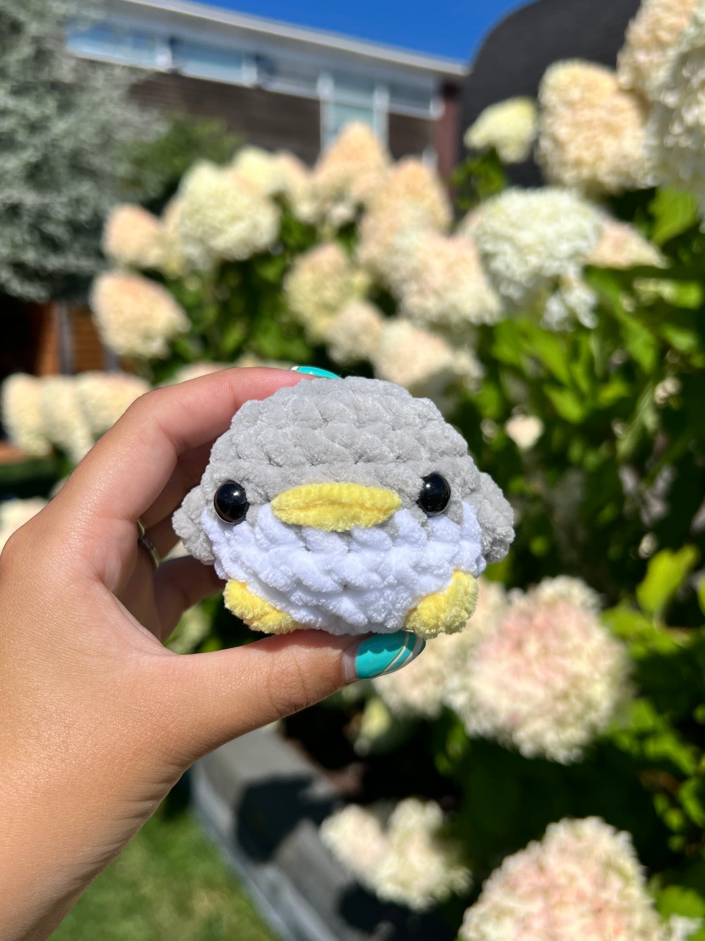 baby pinguïn