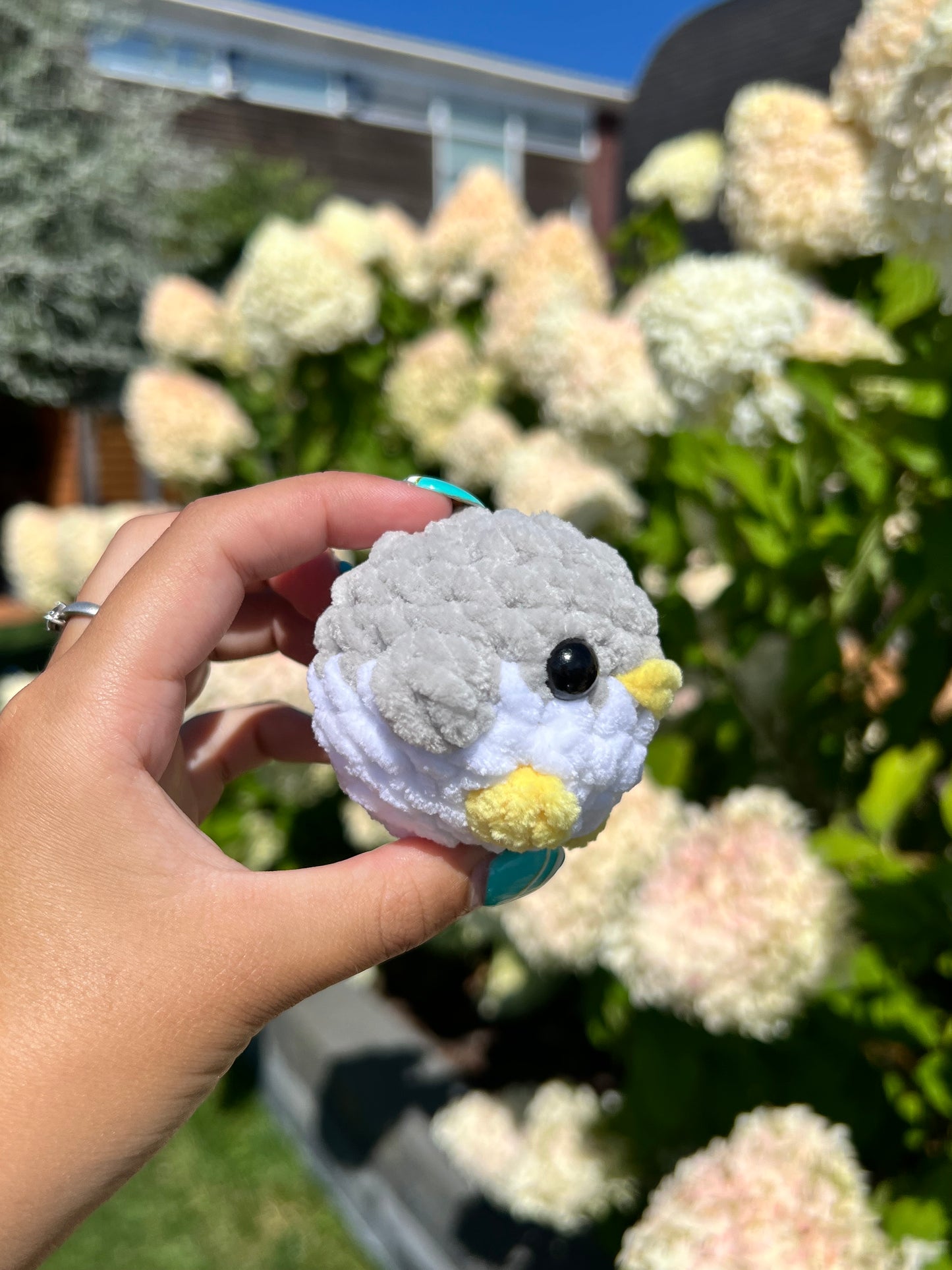 baby pinguïn