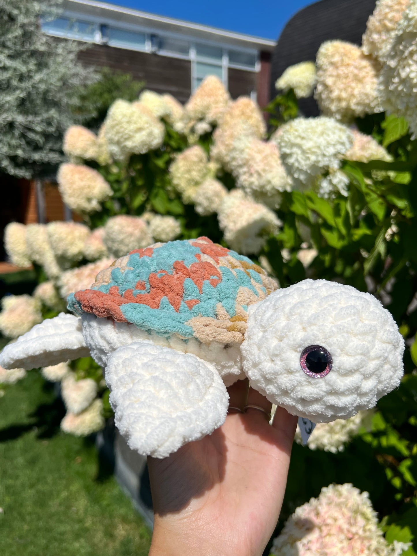 ocean schildpad