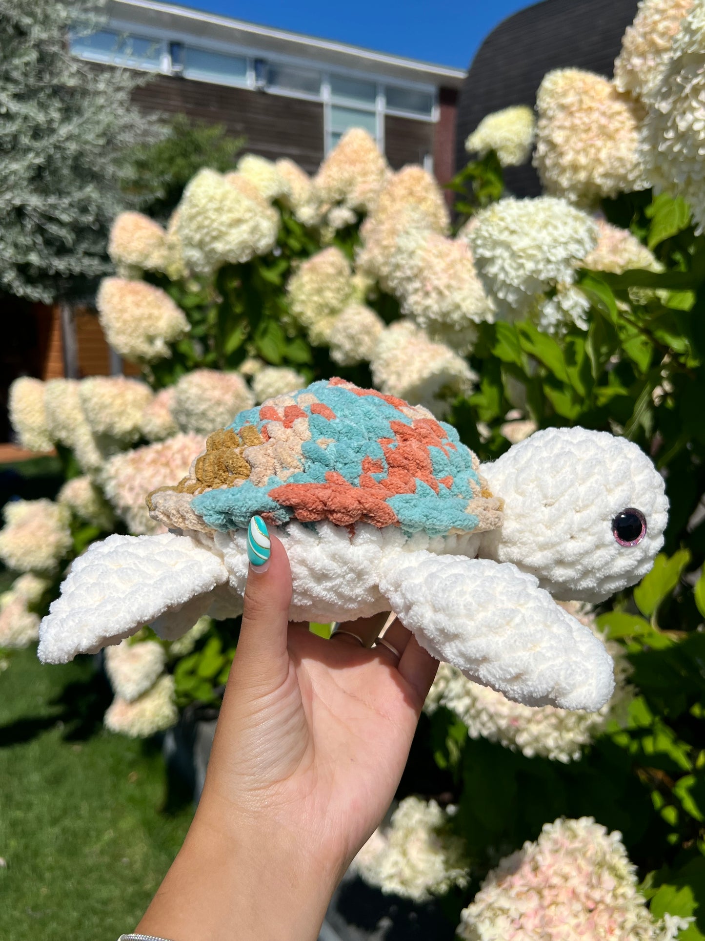 ocean schildpad