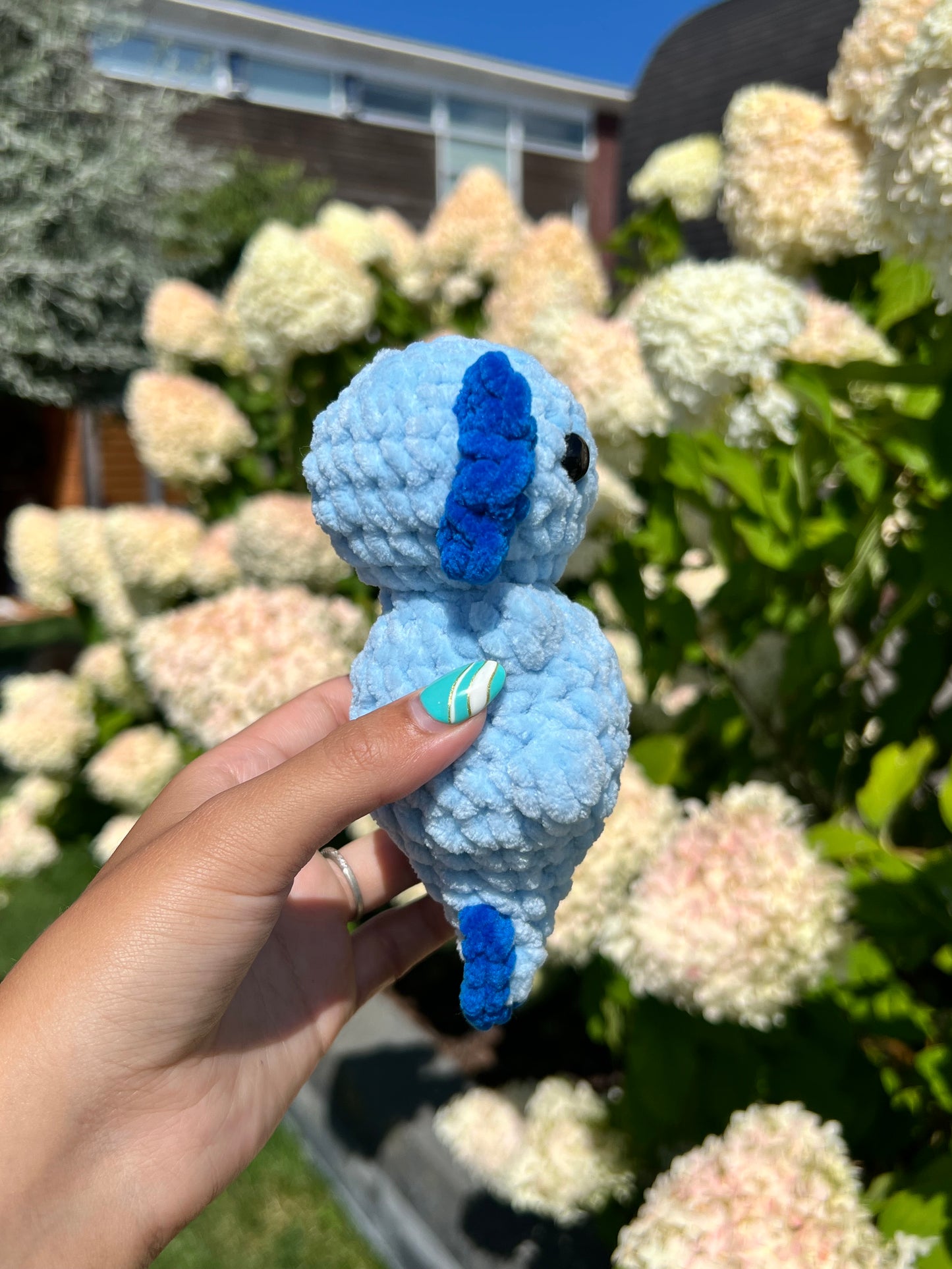 blauwe axolotl