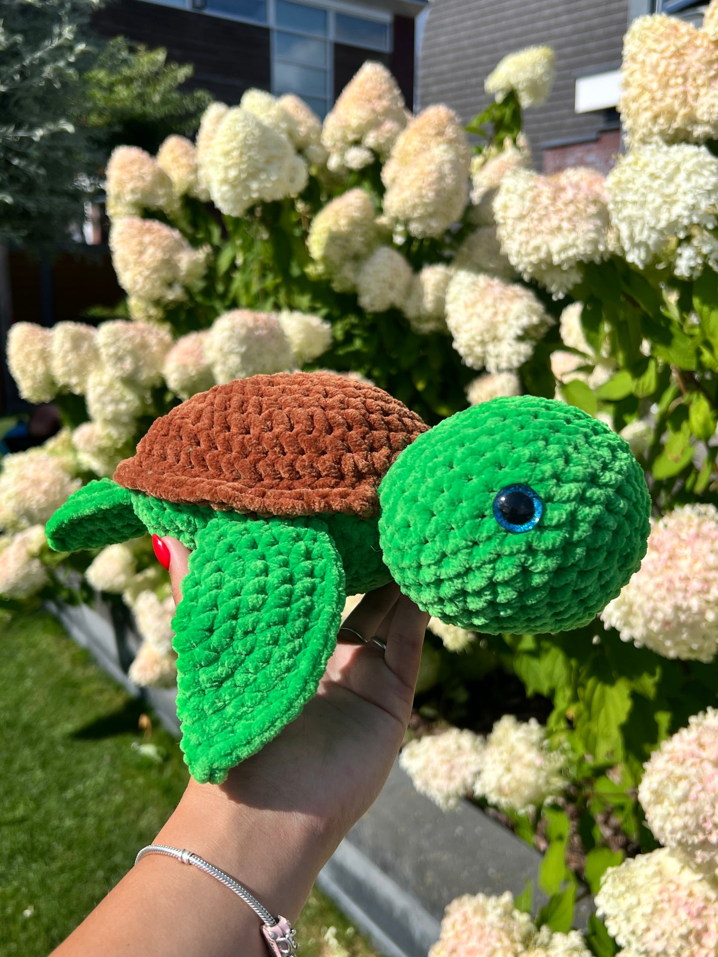 grote schildpad