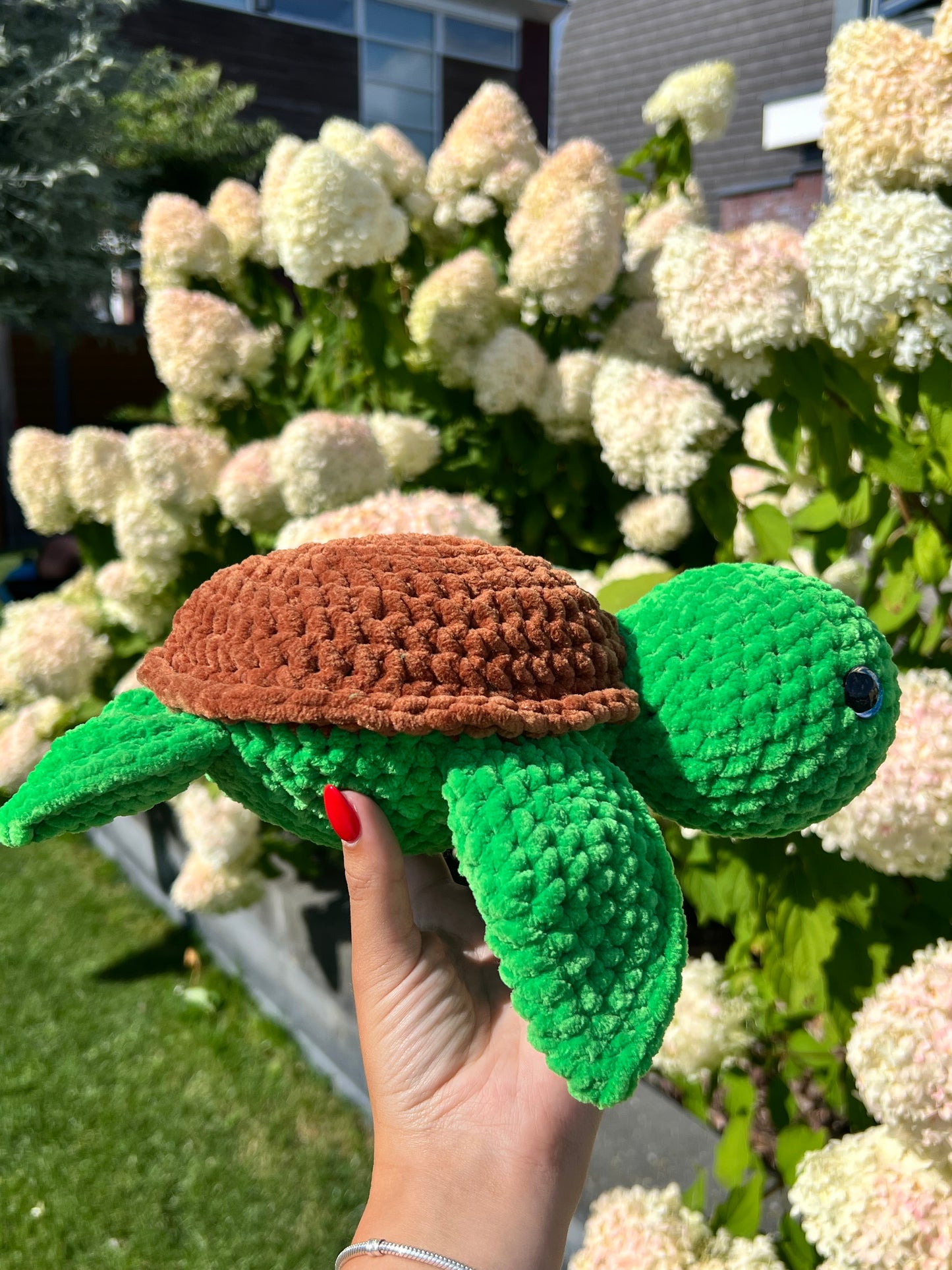 grote schildpad
