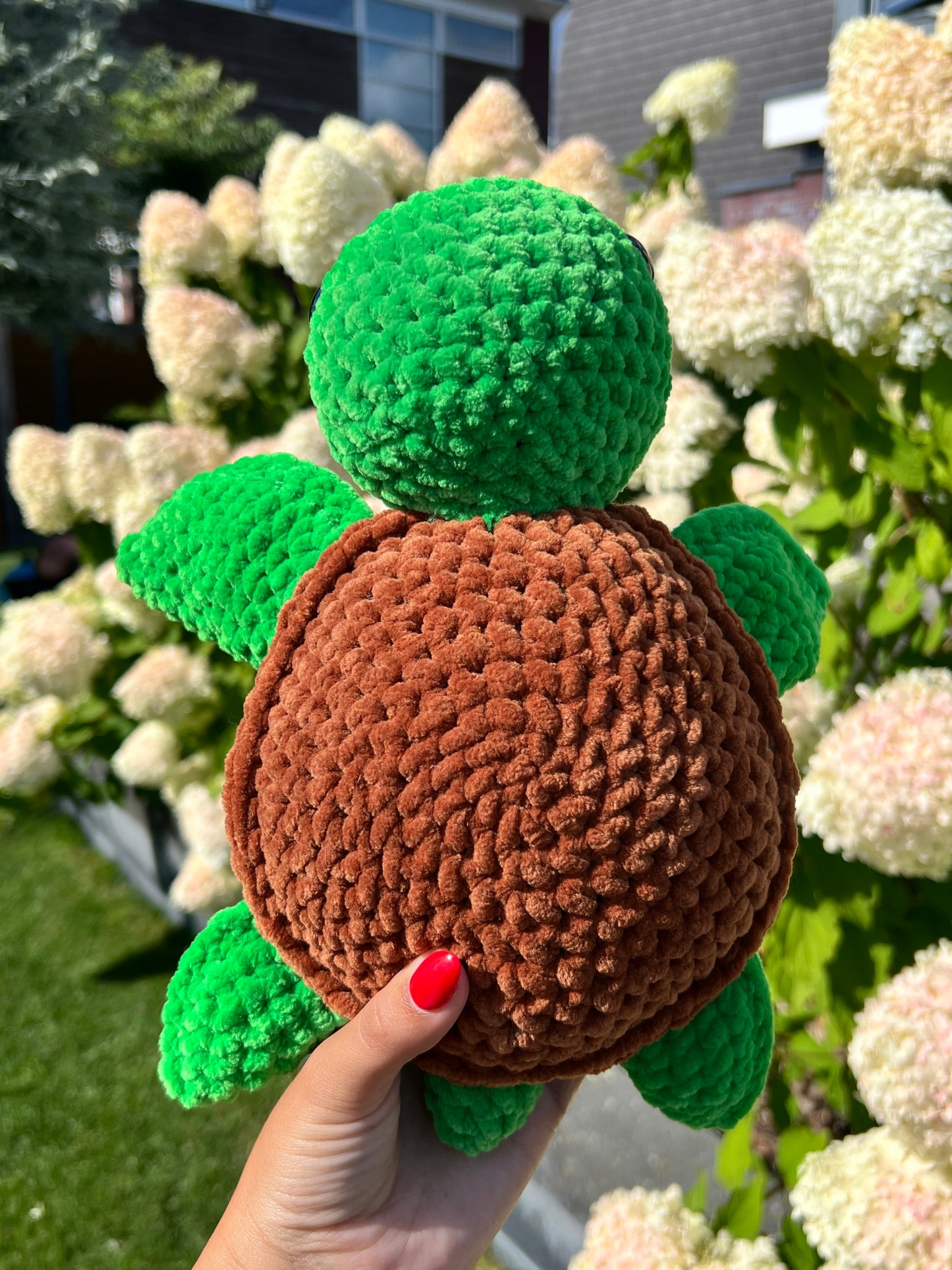 grote schildpad