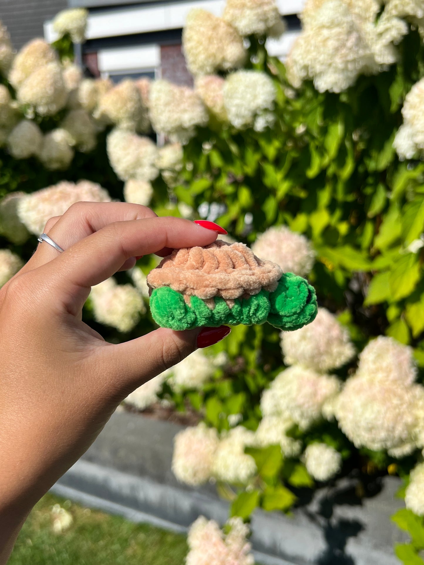 mini schildpad