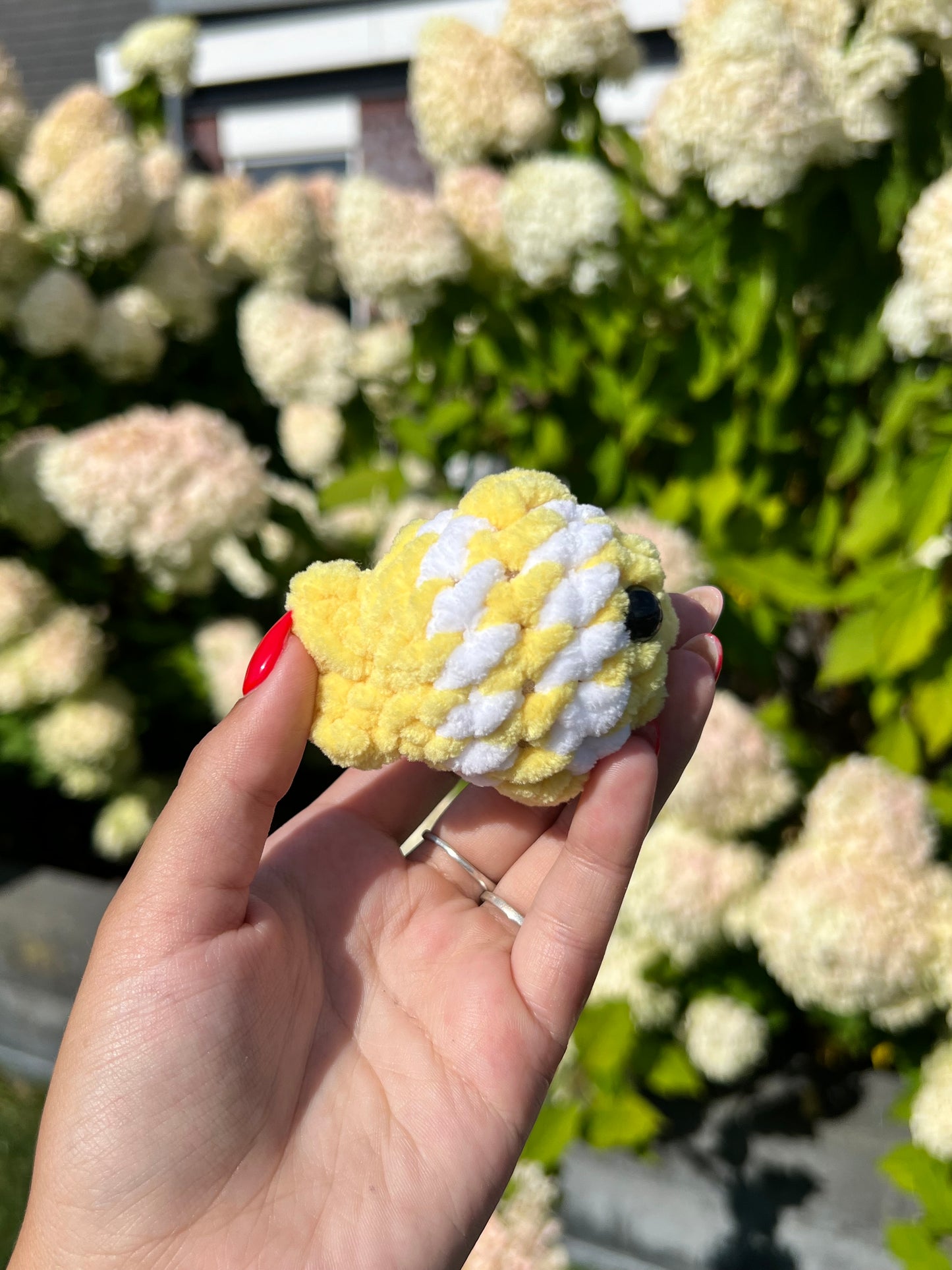 mini gele vis