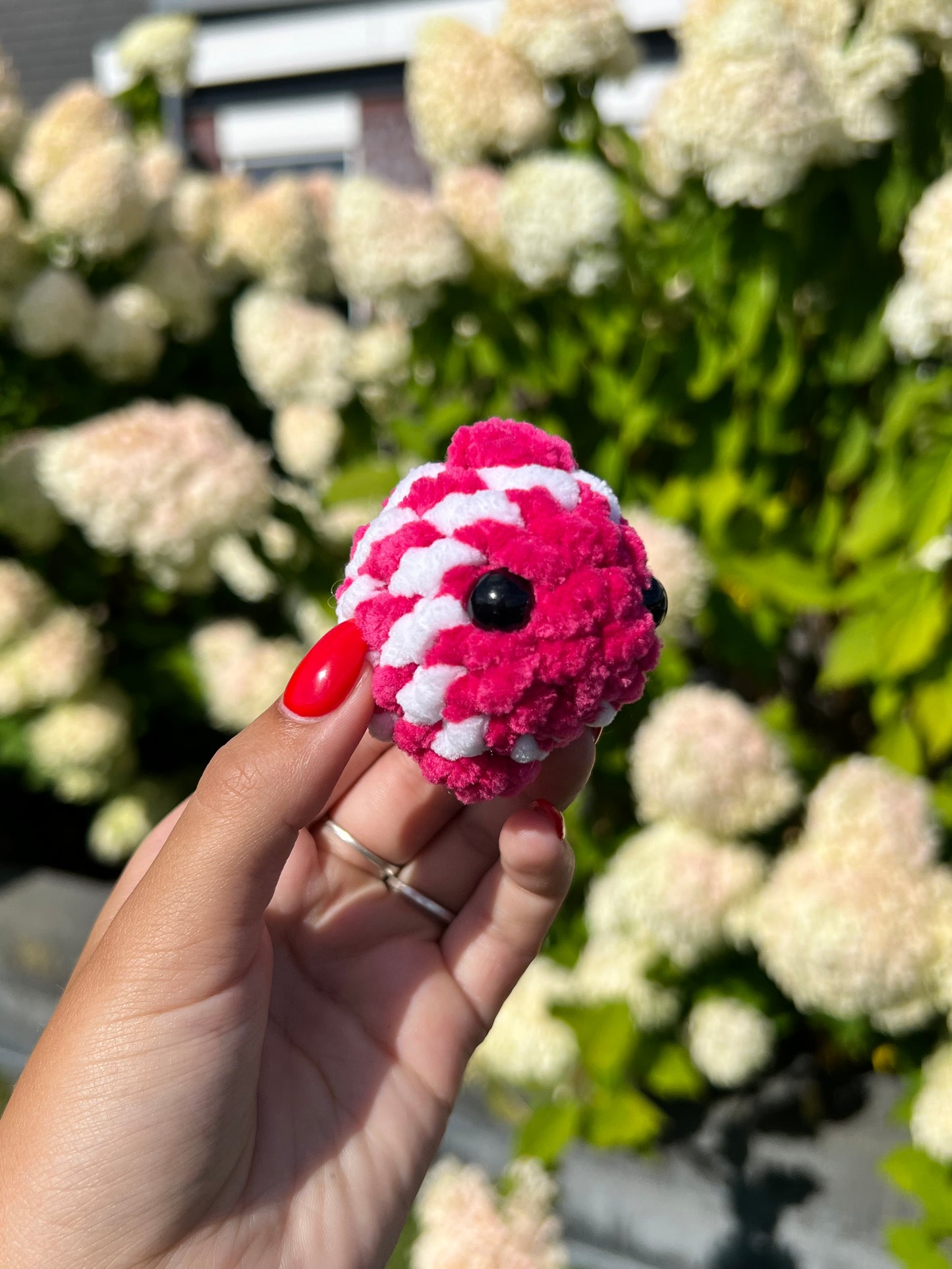 mini roze vis