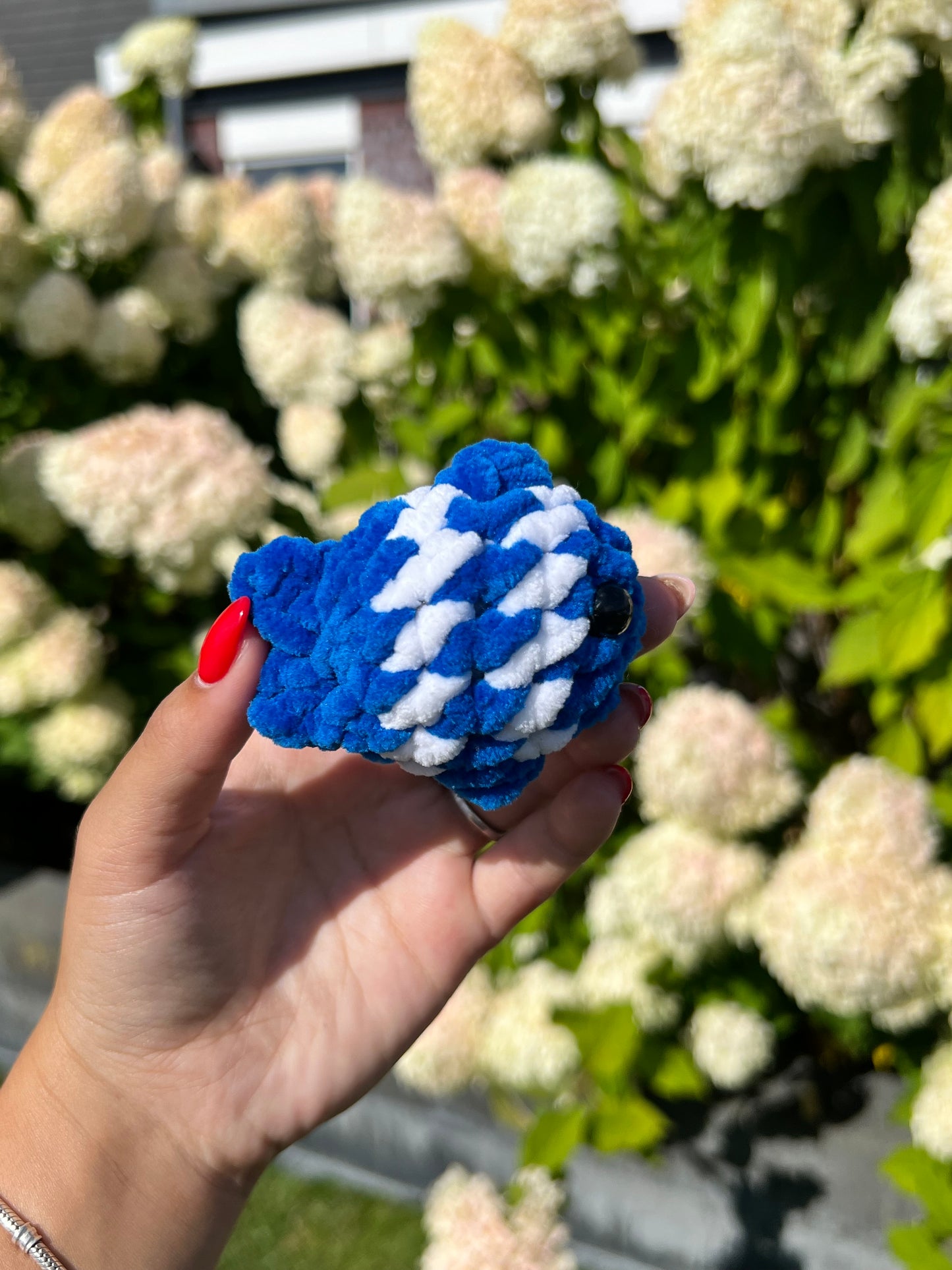mini blauwe vis