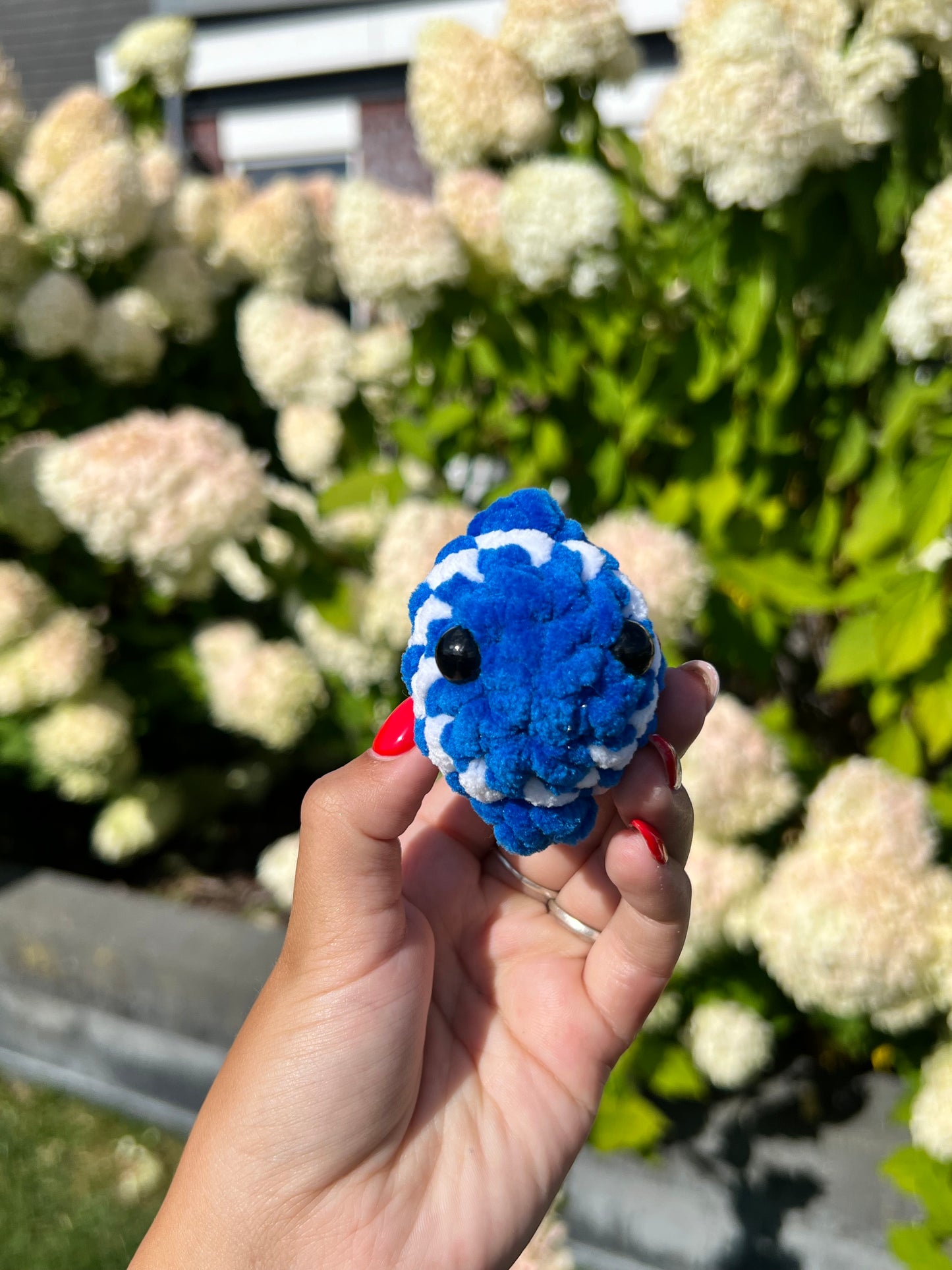 mini blauwe vis