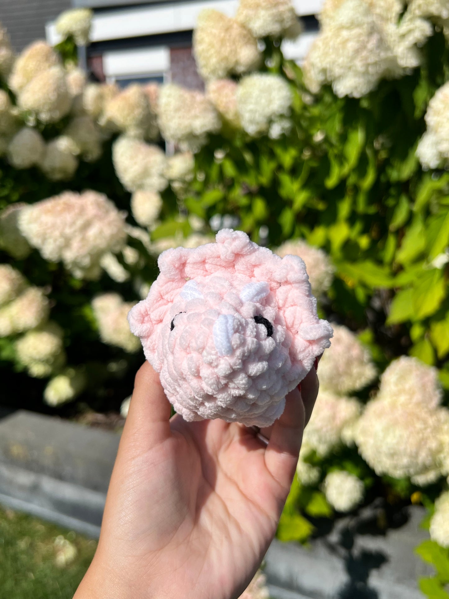 roze triceratops