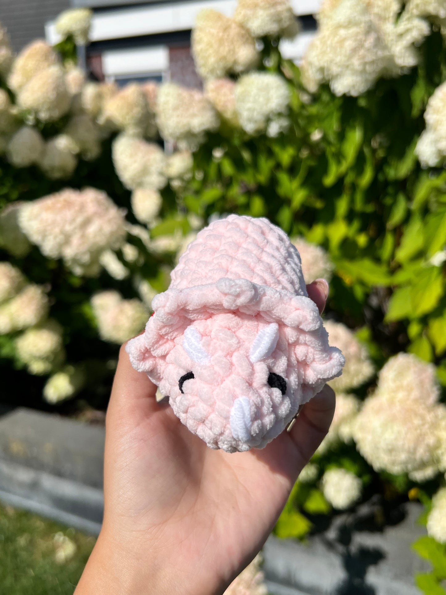 roze triceratops