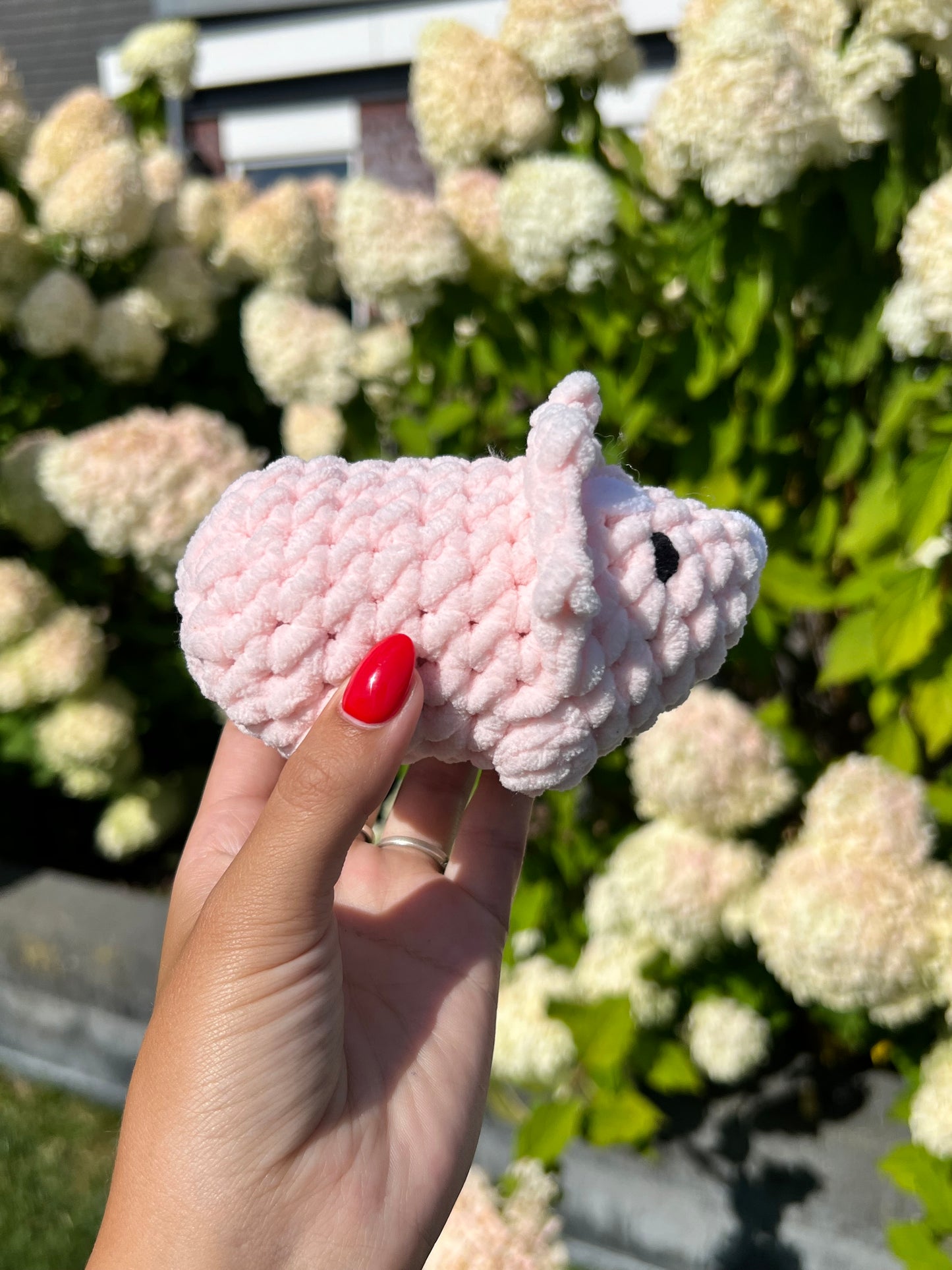 roze triceratops