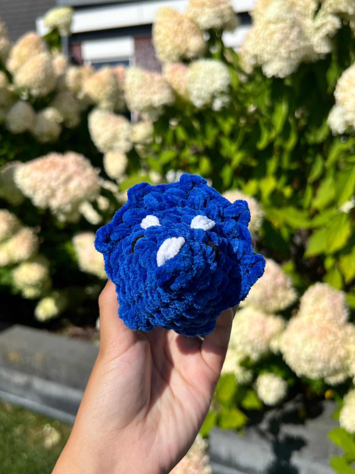 blauwe triceratops