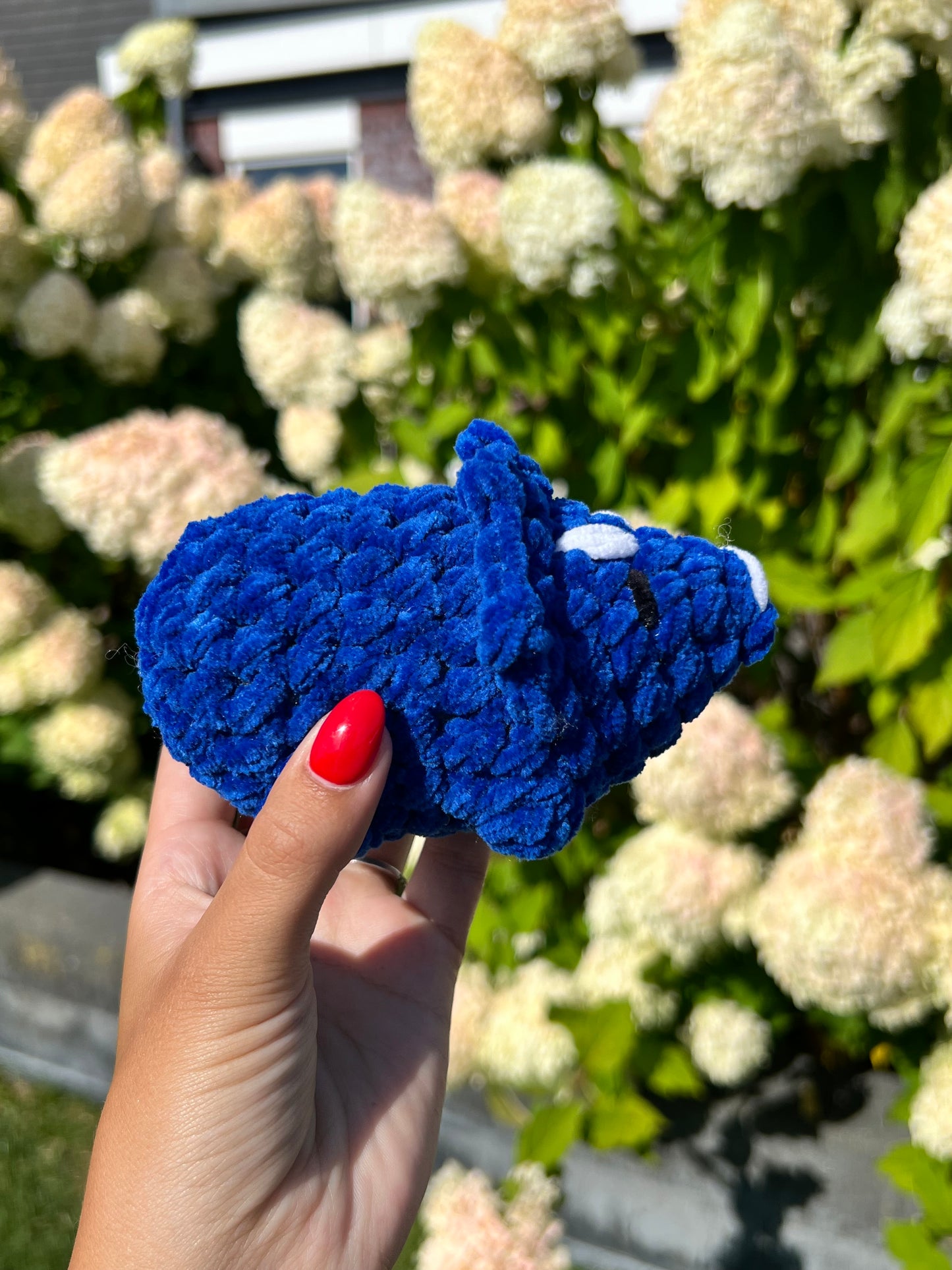 blauwe triceratops