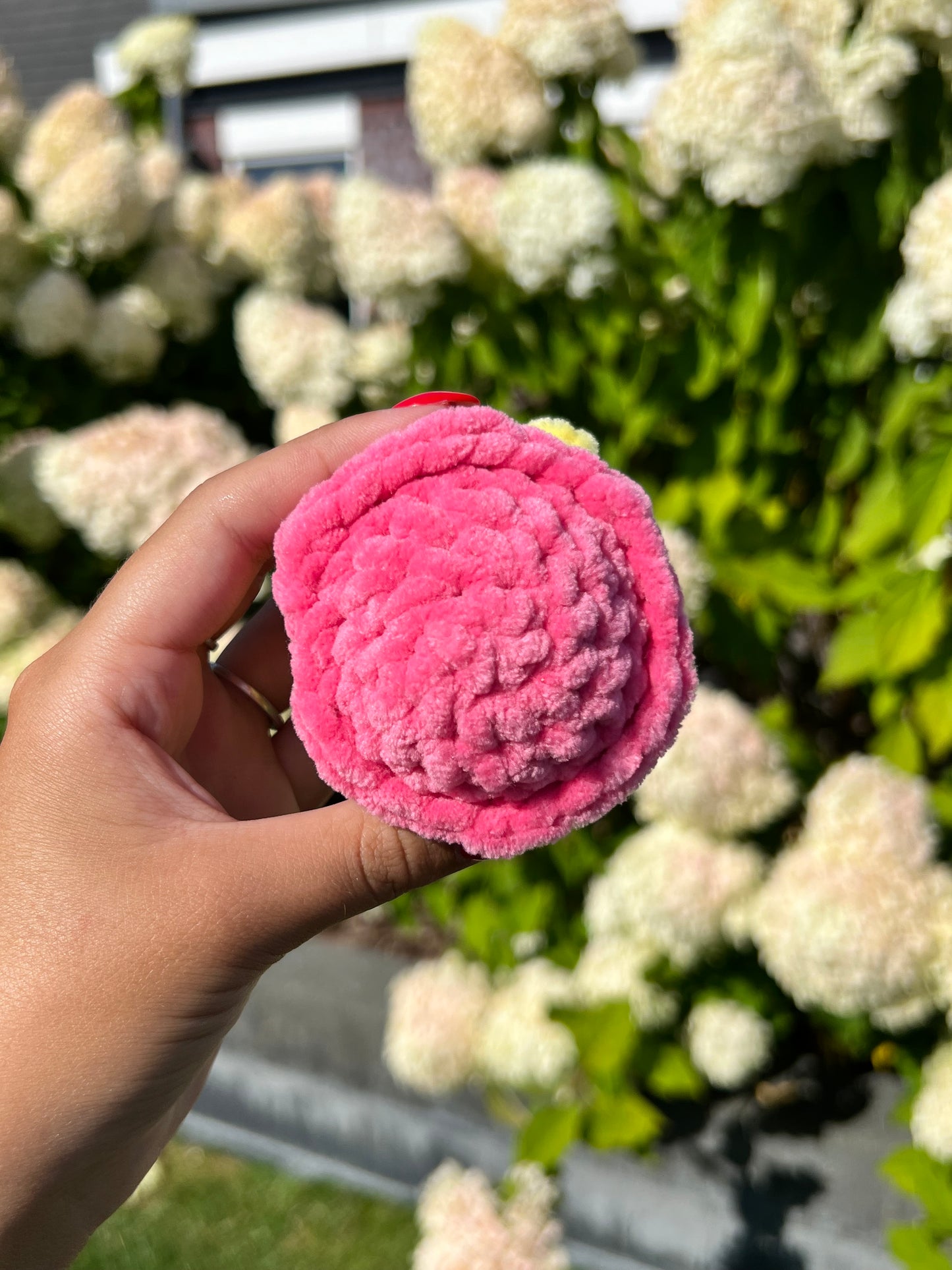 kuiken met roze hoed