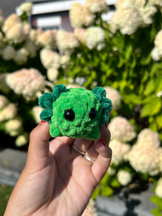 mini groene axolotl
