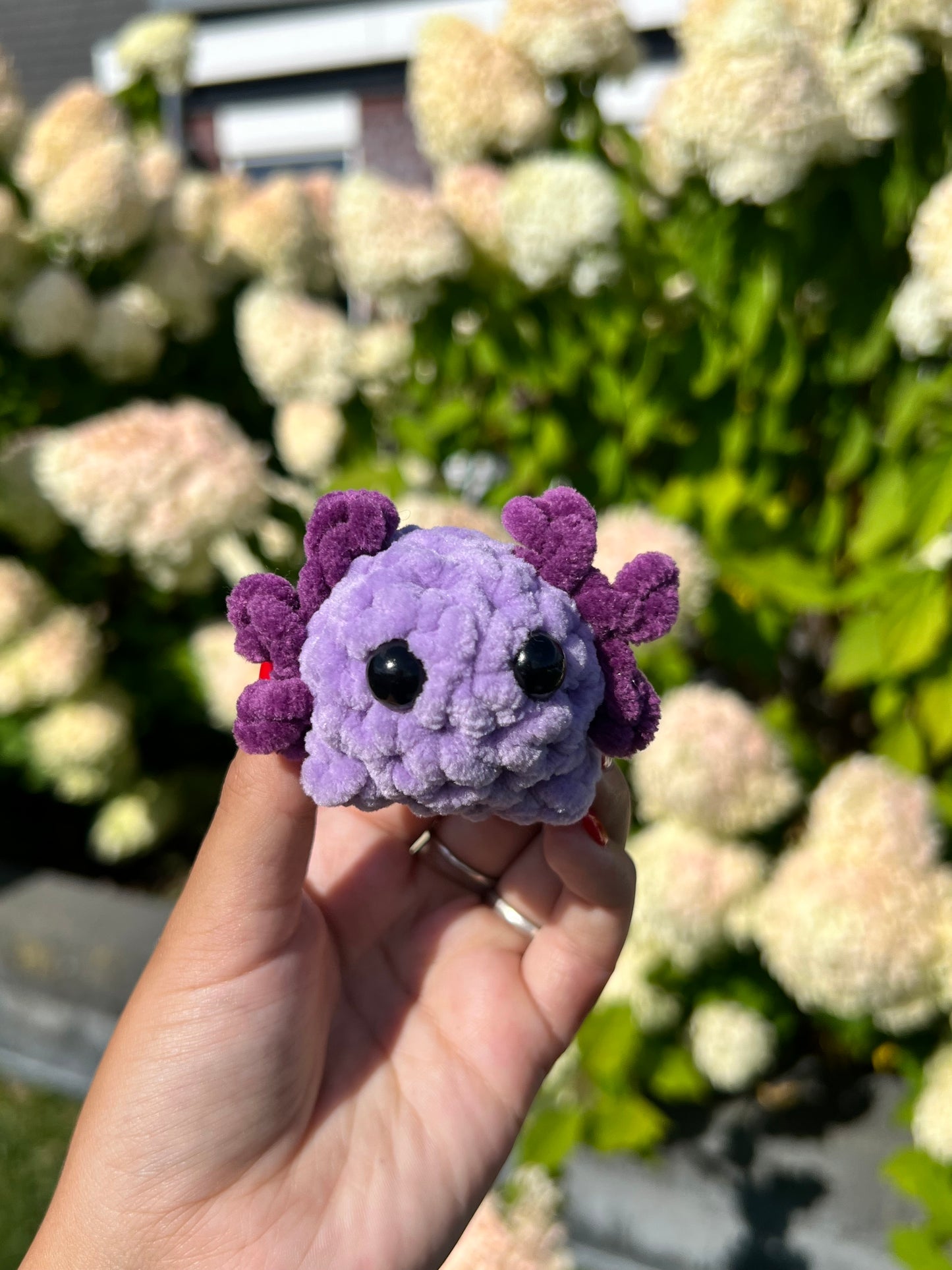 mini paarse axolotl