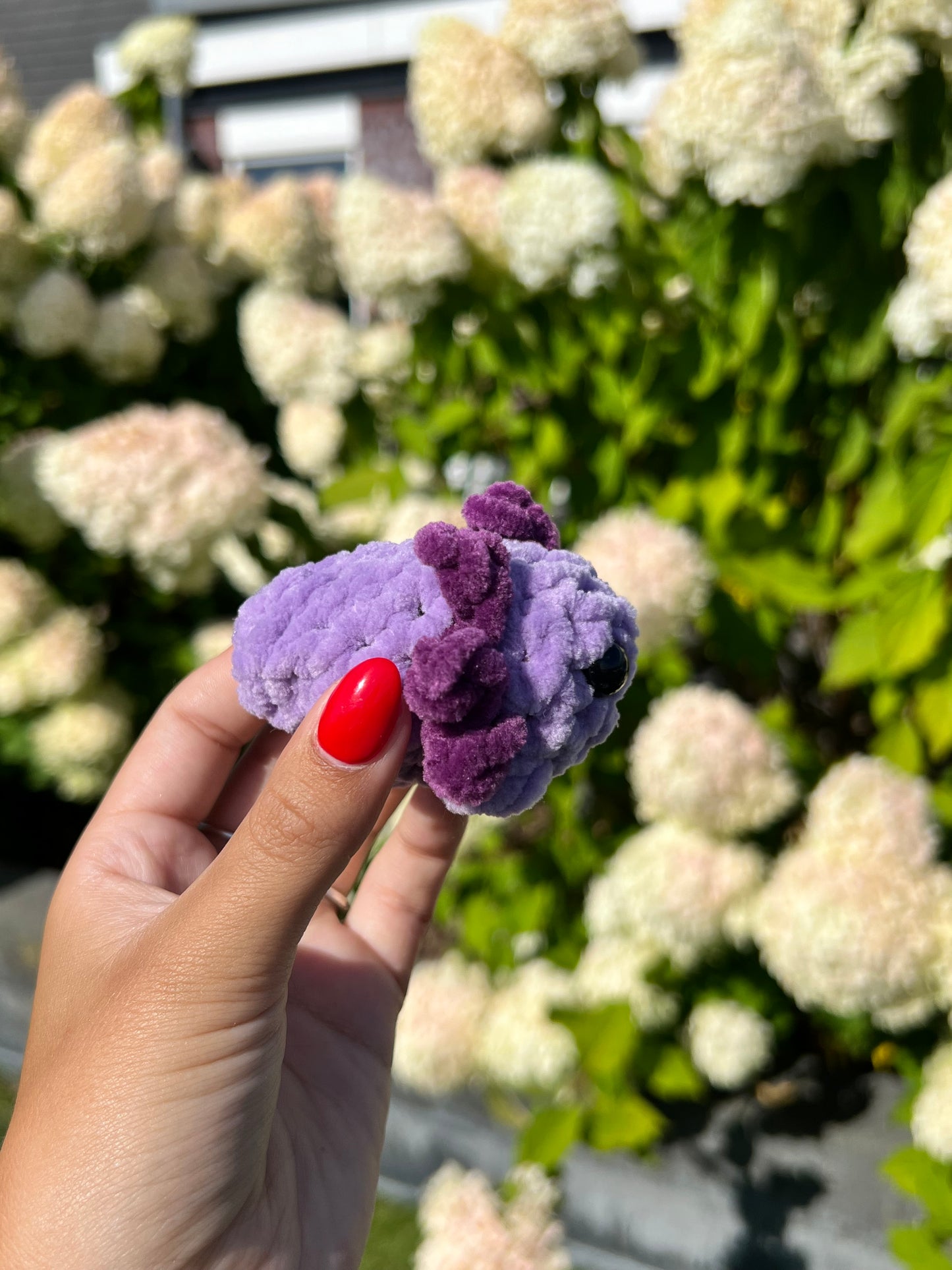 mini paarse axolotl