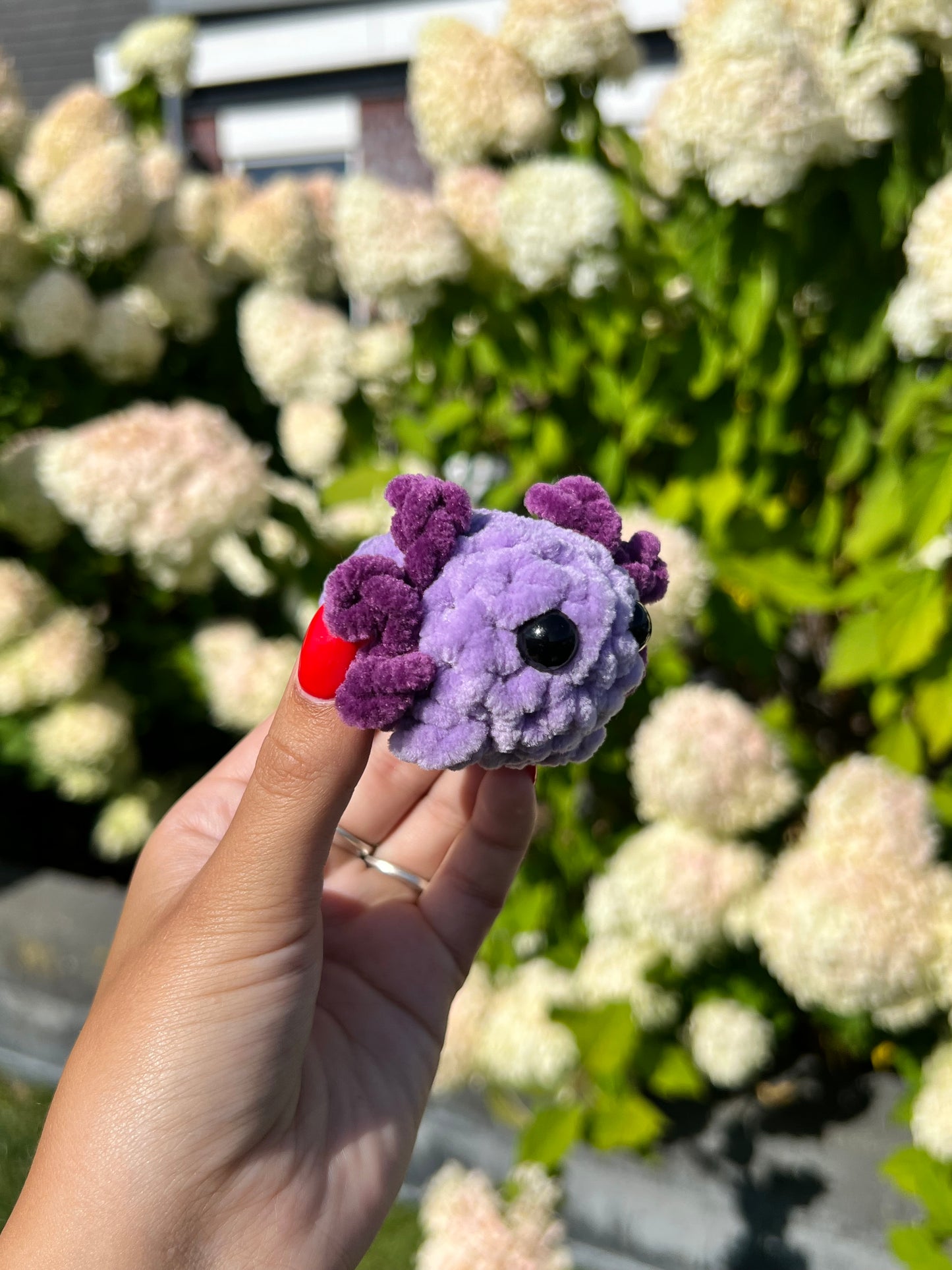 mini paarse axolotl