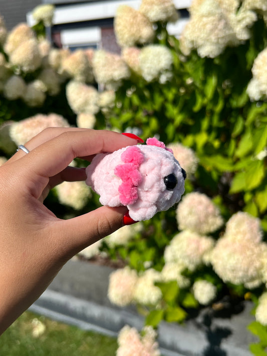 mini roze axolotl