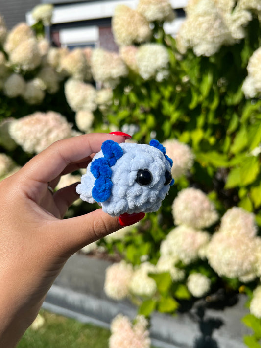 mini blauwe axolotl