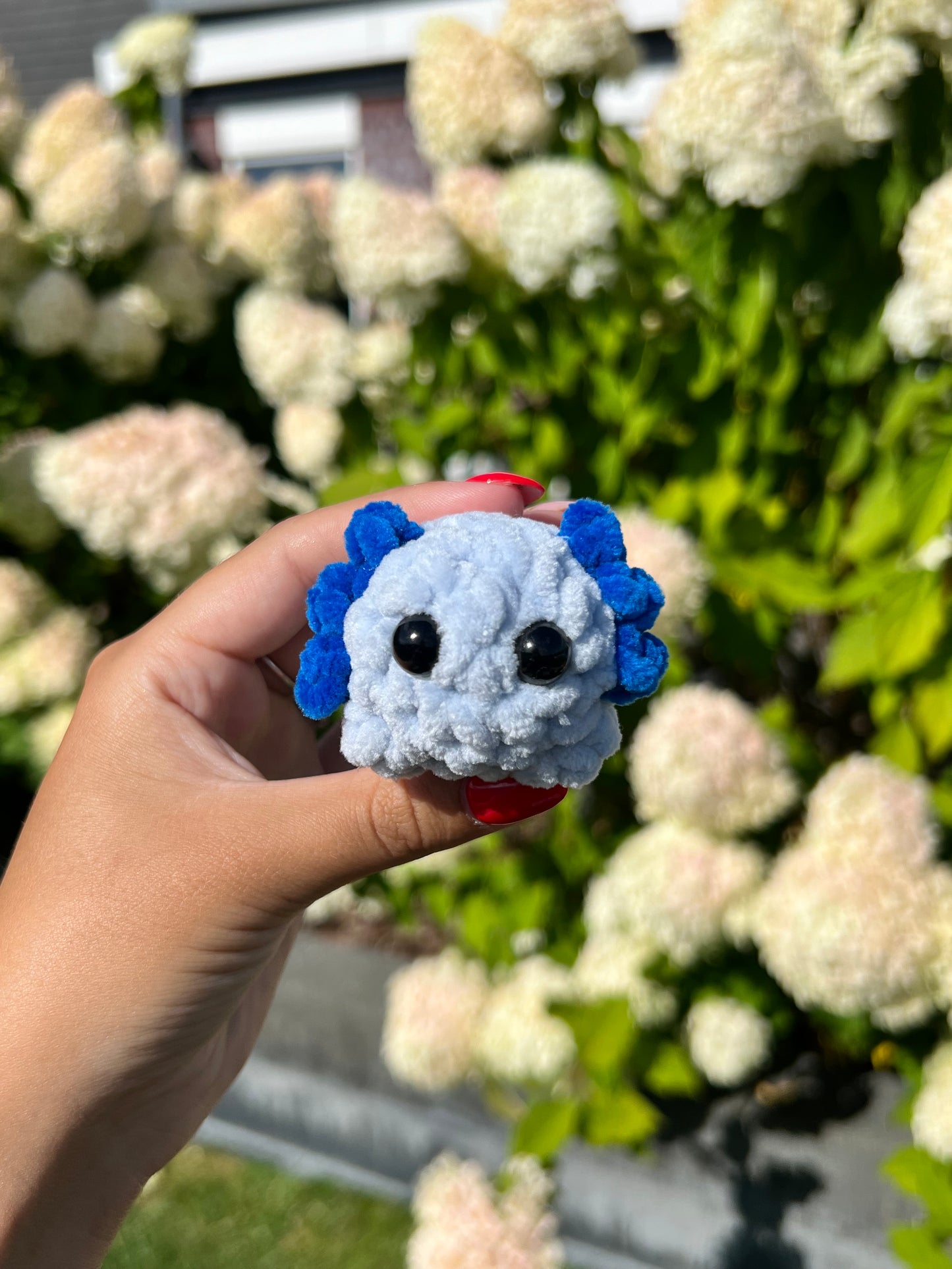 mini blauwe axolotl