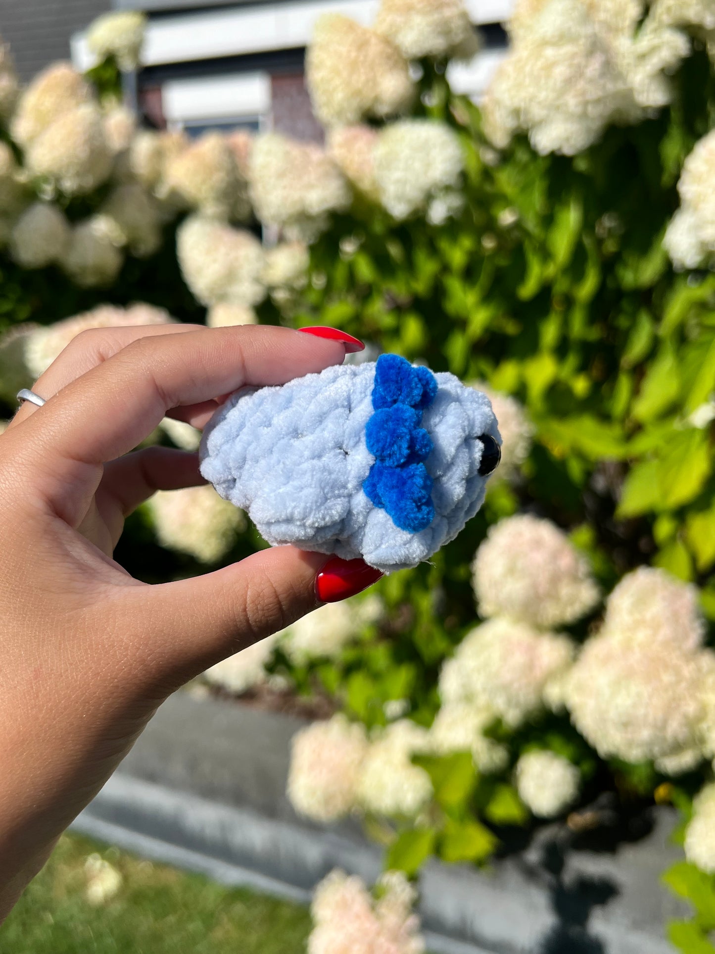 mini blauwe axolotl