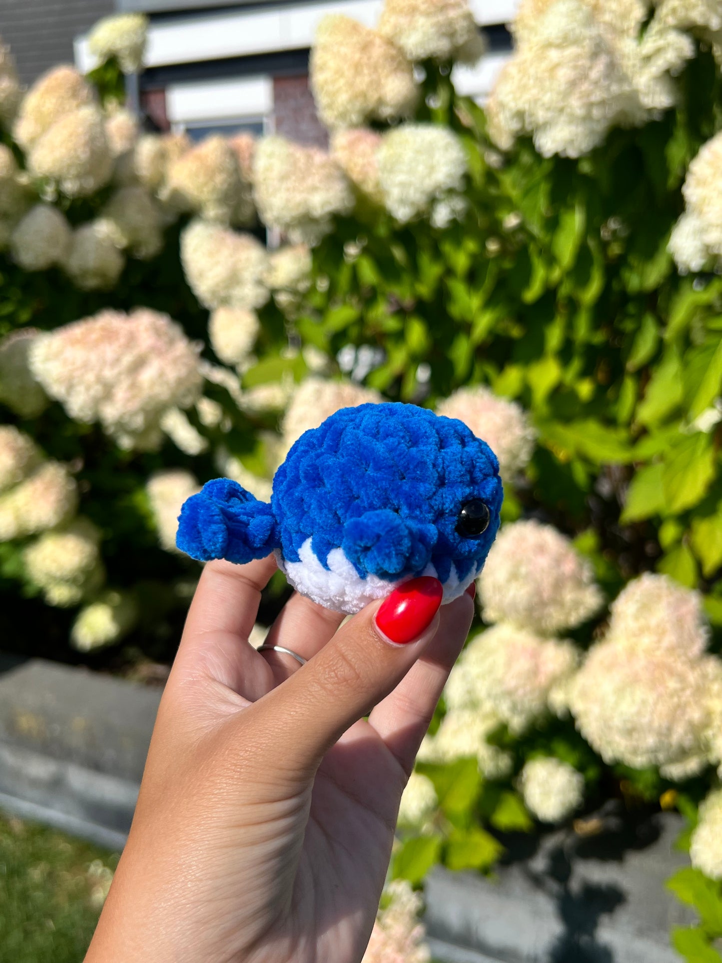 donker blauw walvis