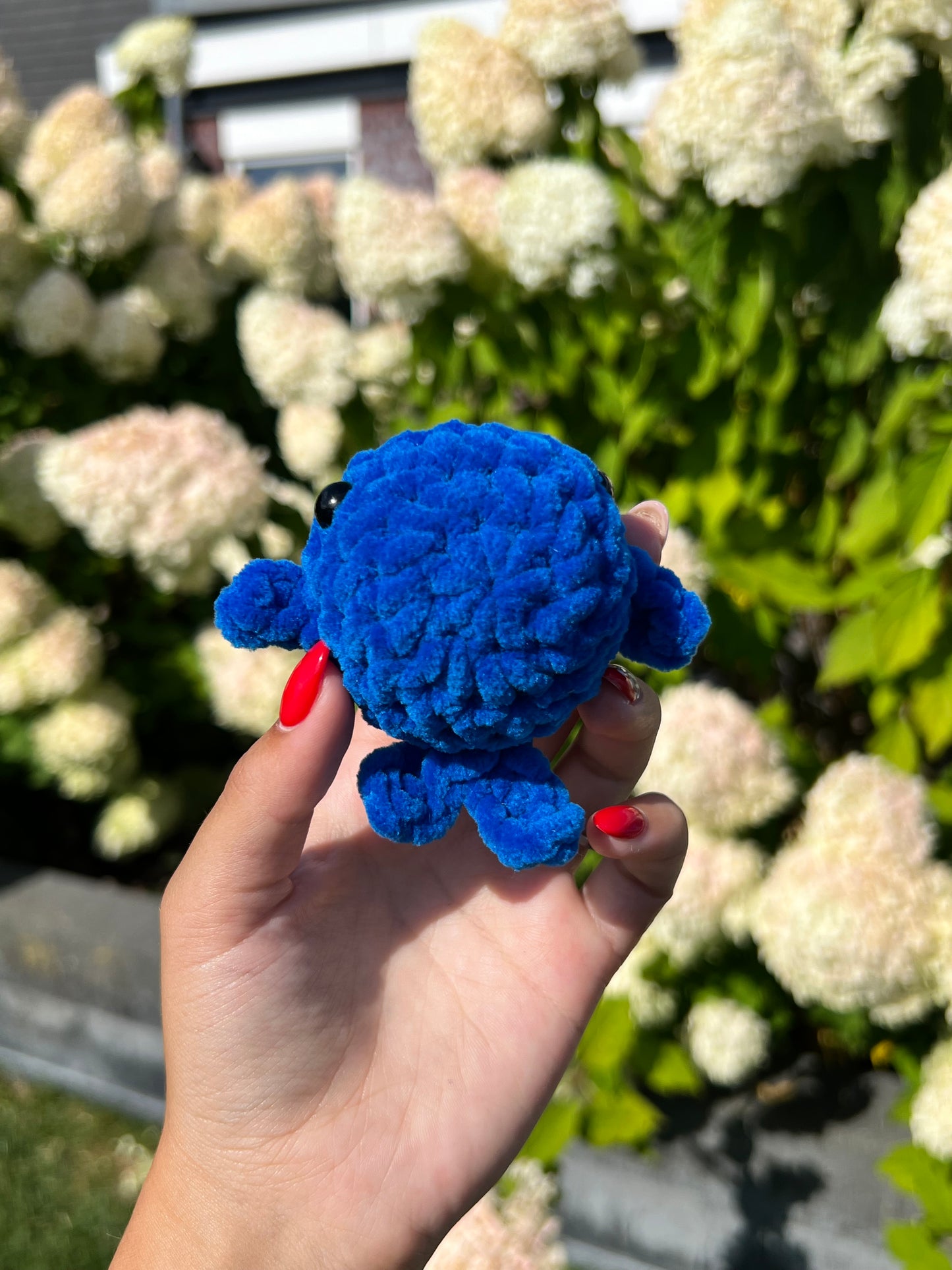donker blauw walvis
