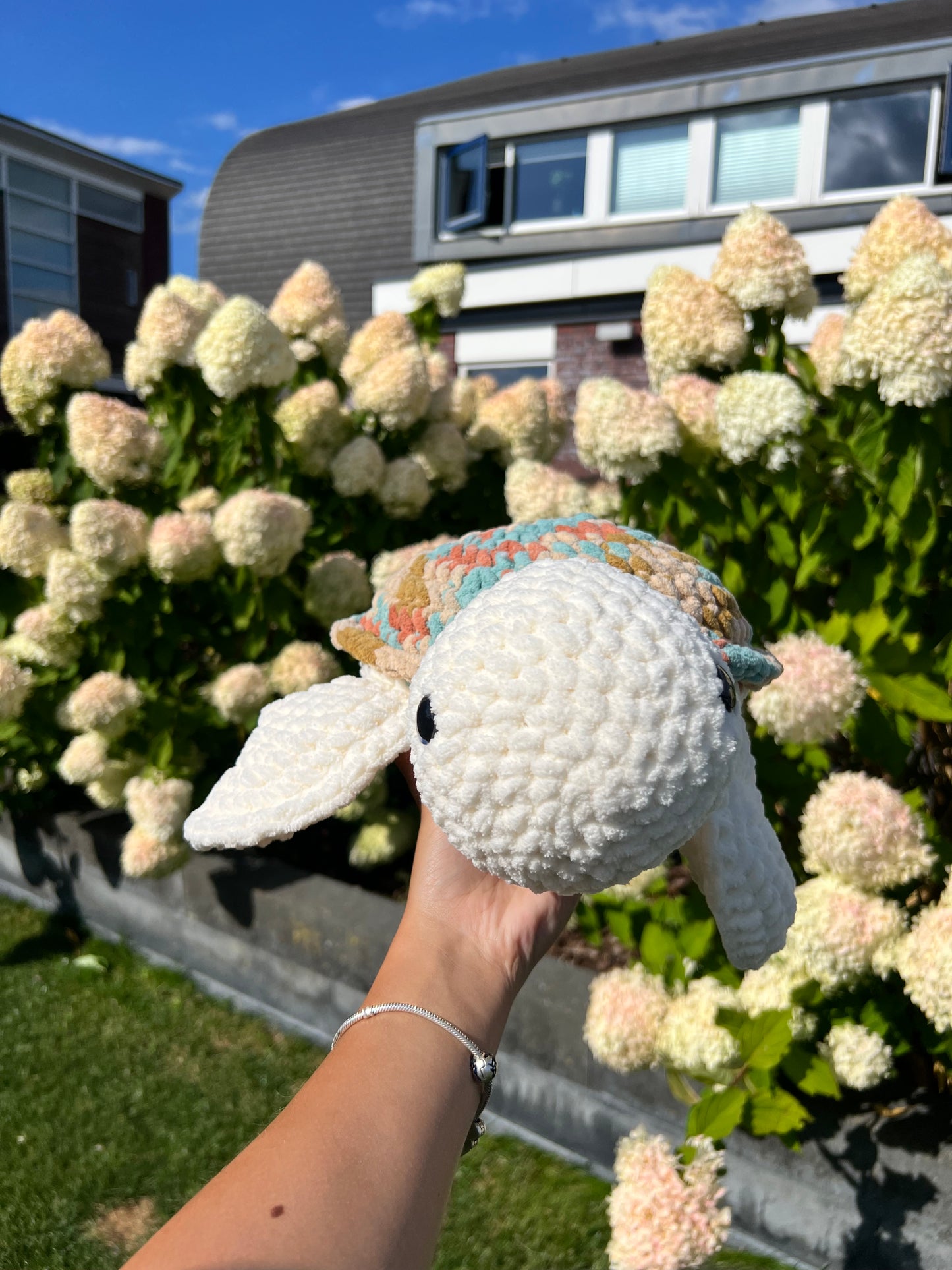 L schildpad
