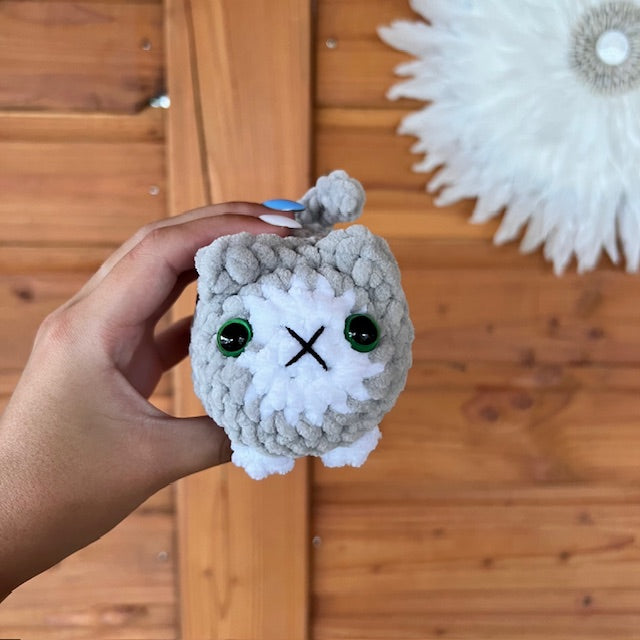 maat S kat grijs en wit