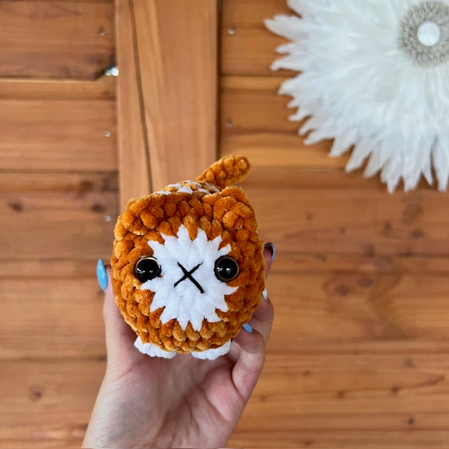 maat S kat oranje met wit