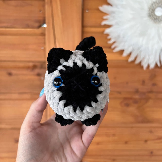 maat S kat grijd met zwart