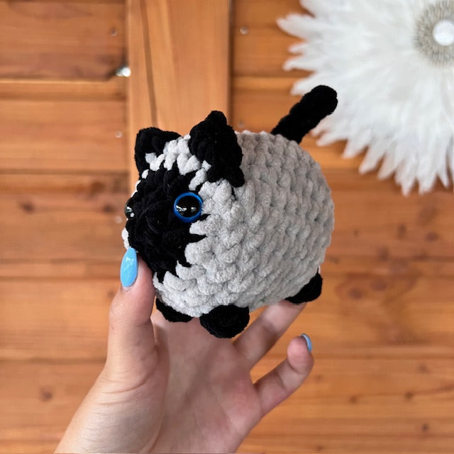 maat S kat grijd met zwart