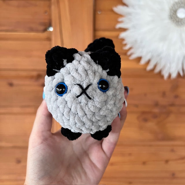 maat S kat grijs met zwart