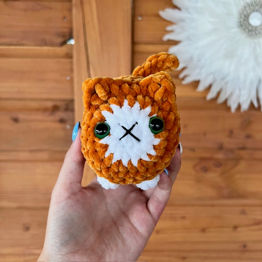 maat S kat oranje met wit