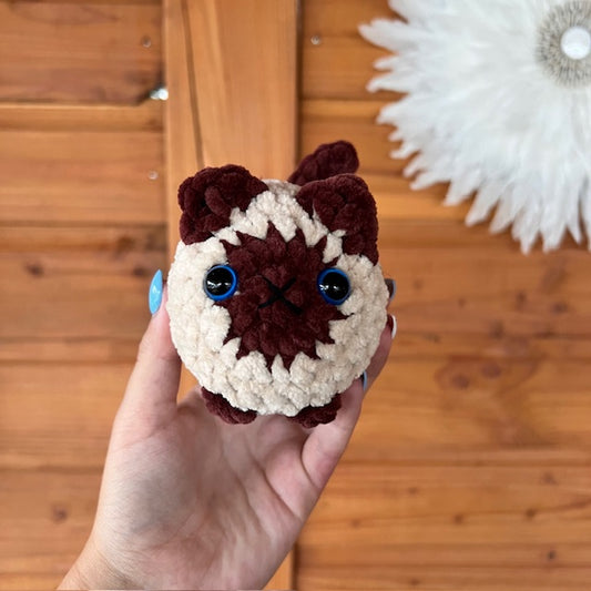 maat S kat beig met bruin