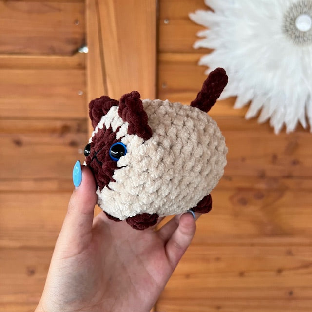 maat S kat beig met bruin