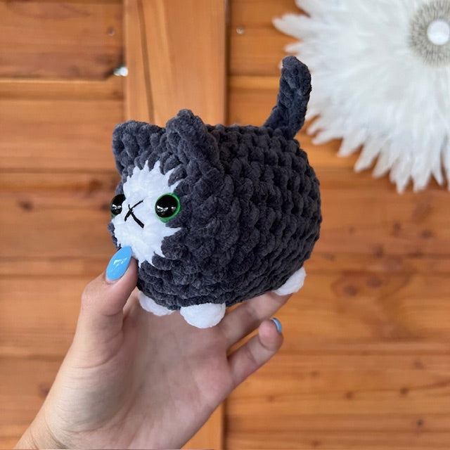 maat S kat zwart met wit