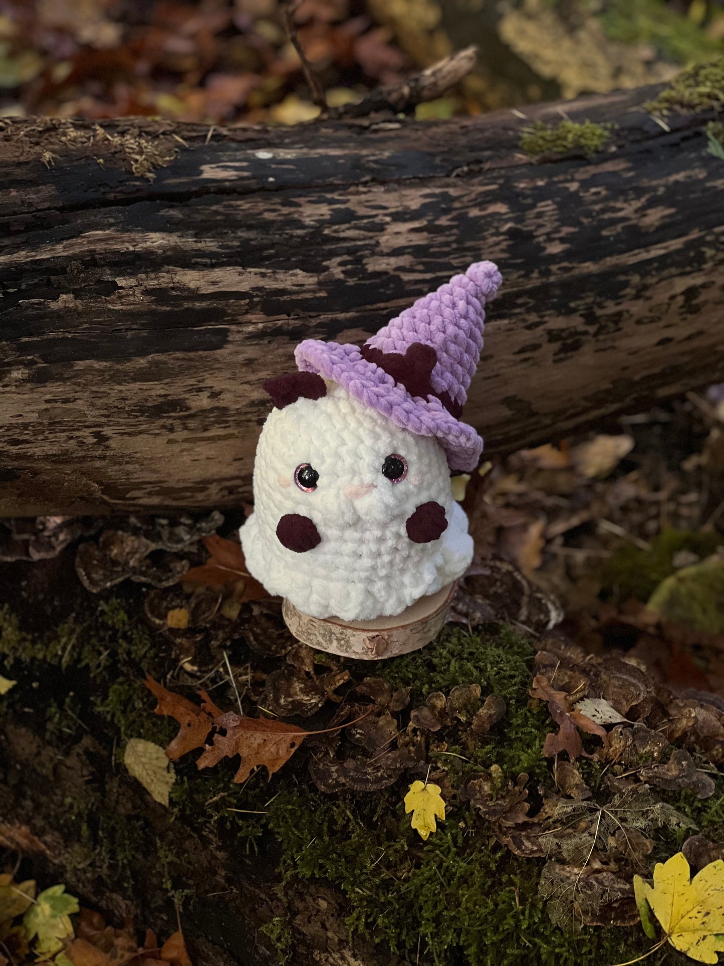 zwarte kat in spook pak met heksen hoed