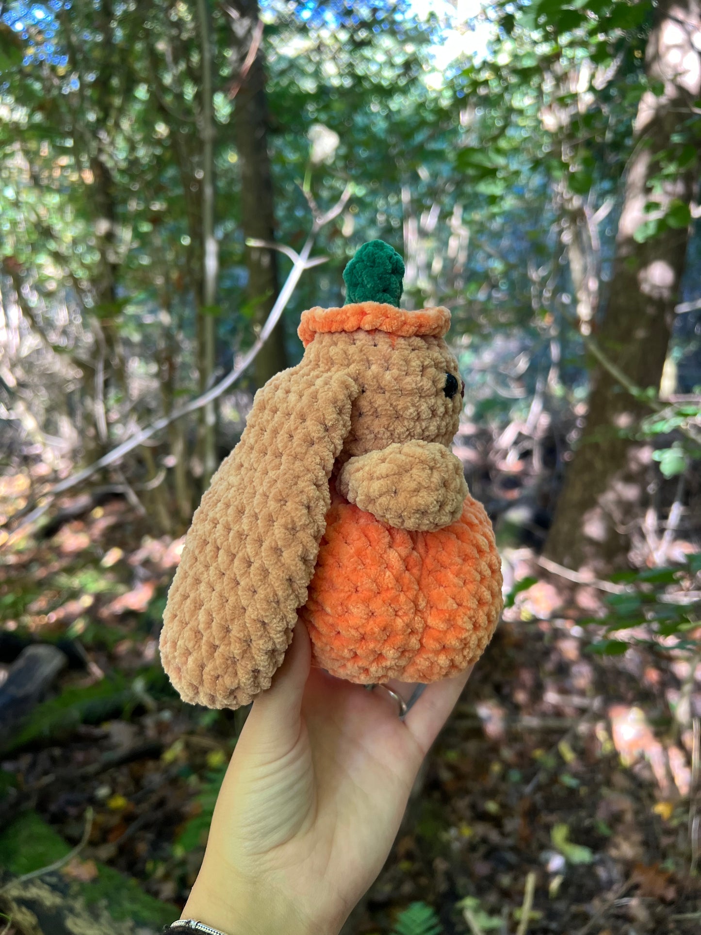 konijn in pompoen groot