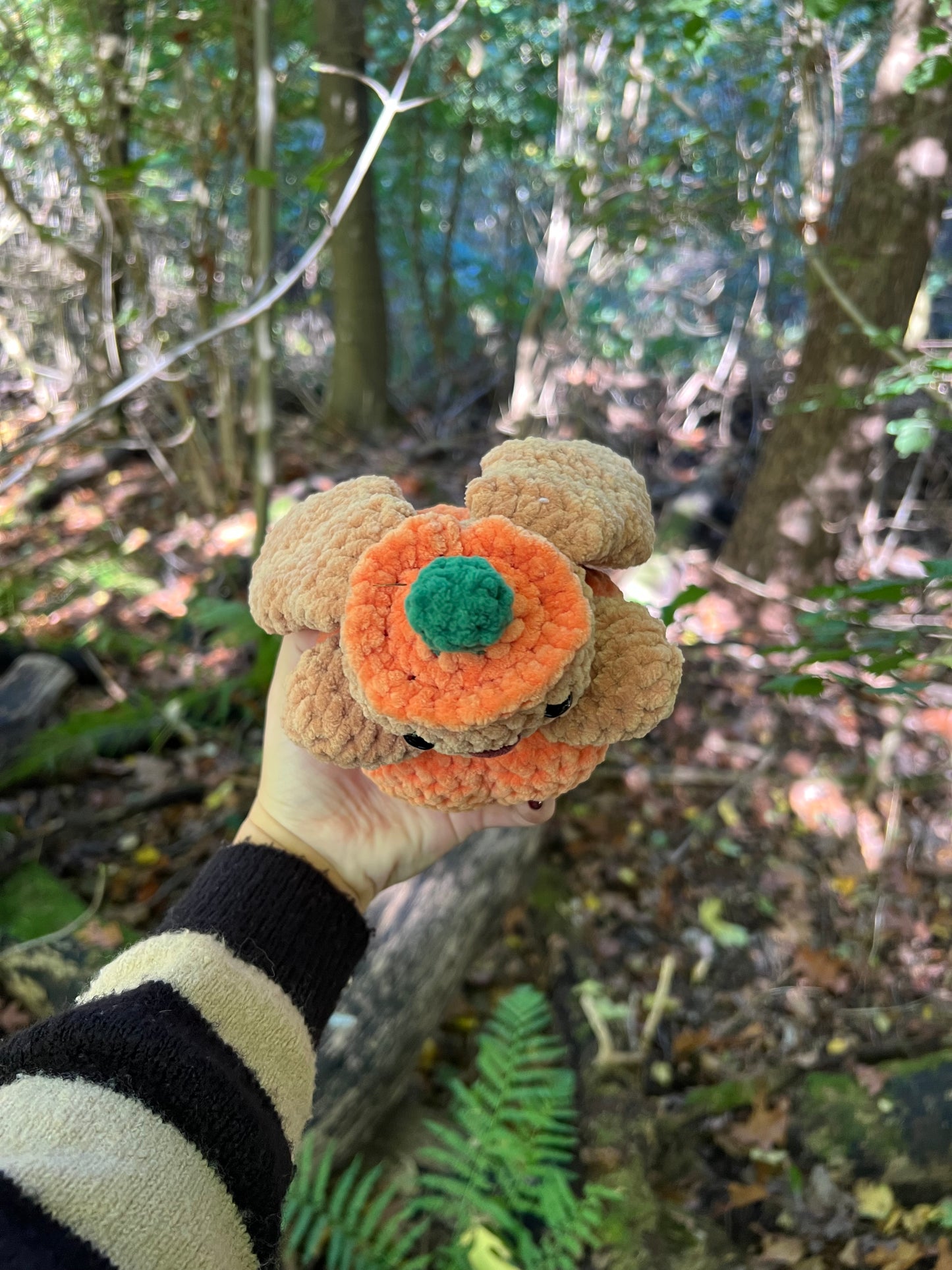 konijn in pompoen groot