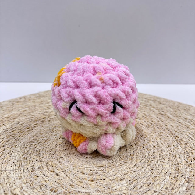 octo